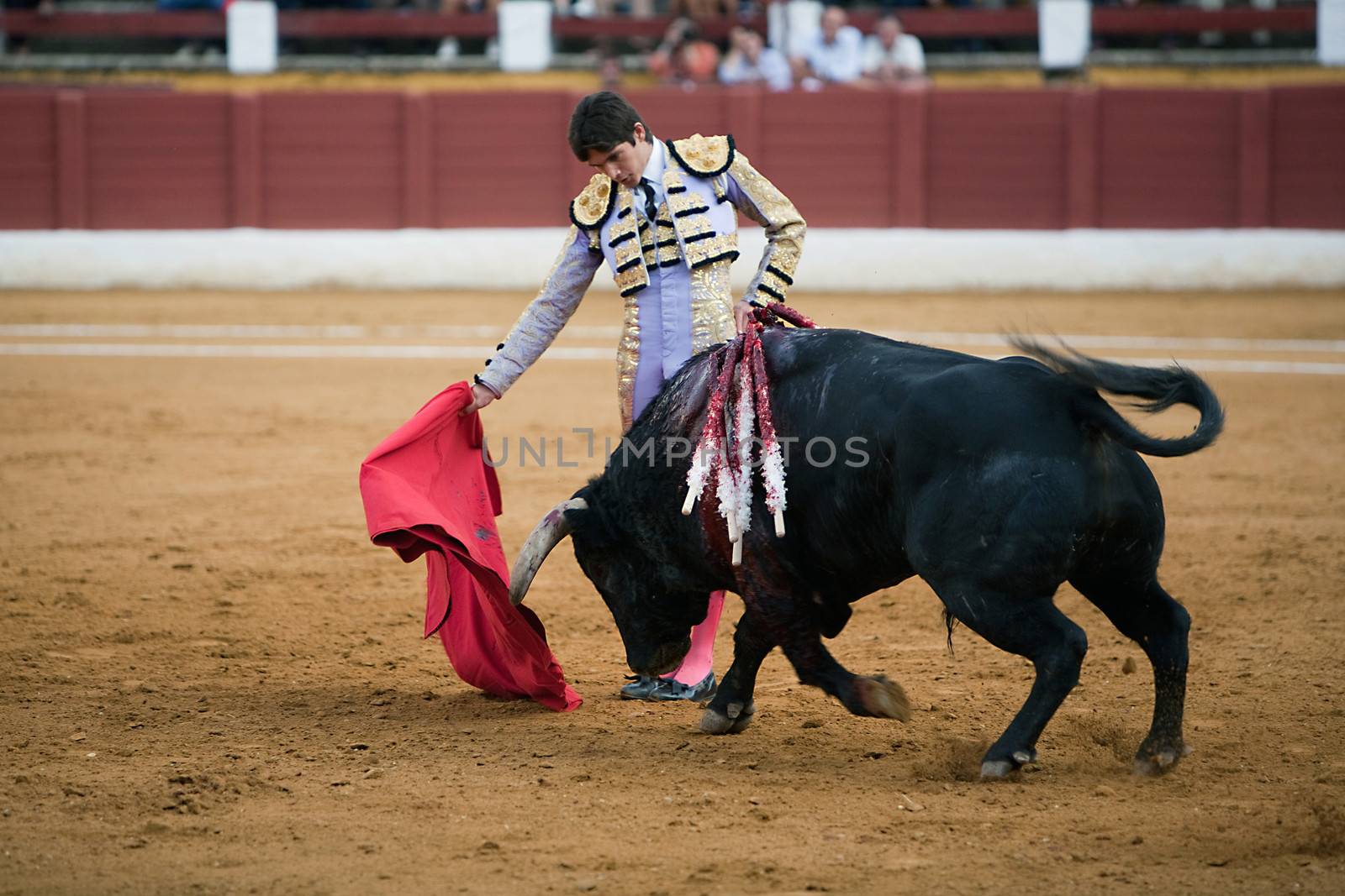 The Spanish bullfighter Sebastian Castella, Bullfight at Andujar bullring, Jaen, Spain, 11 September 2009