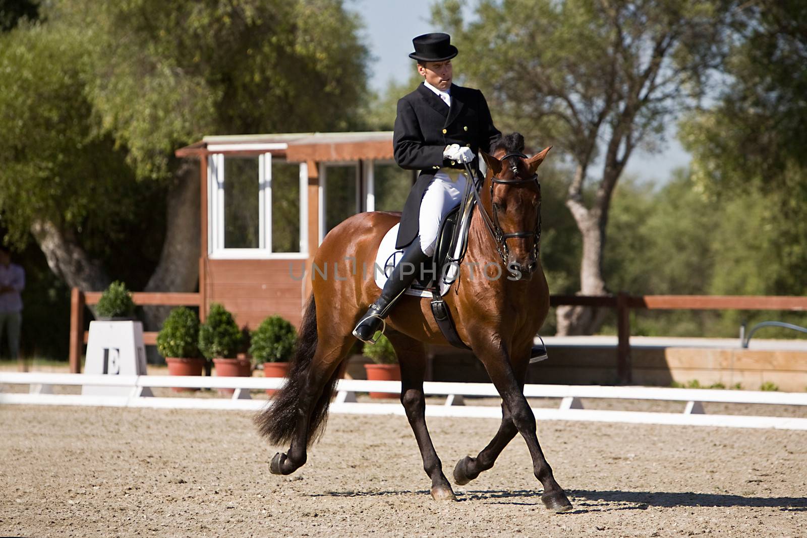 Rider competing in dressage competition classic, Spain by digicomphoto