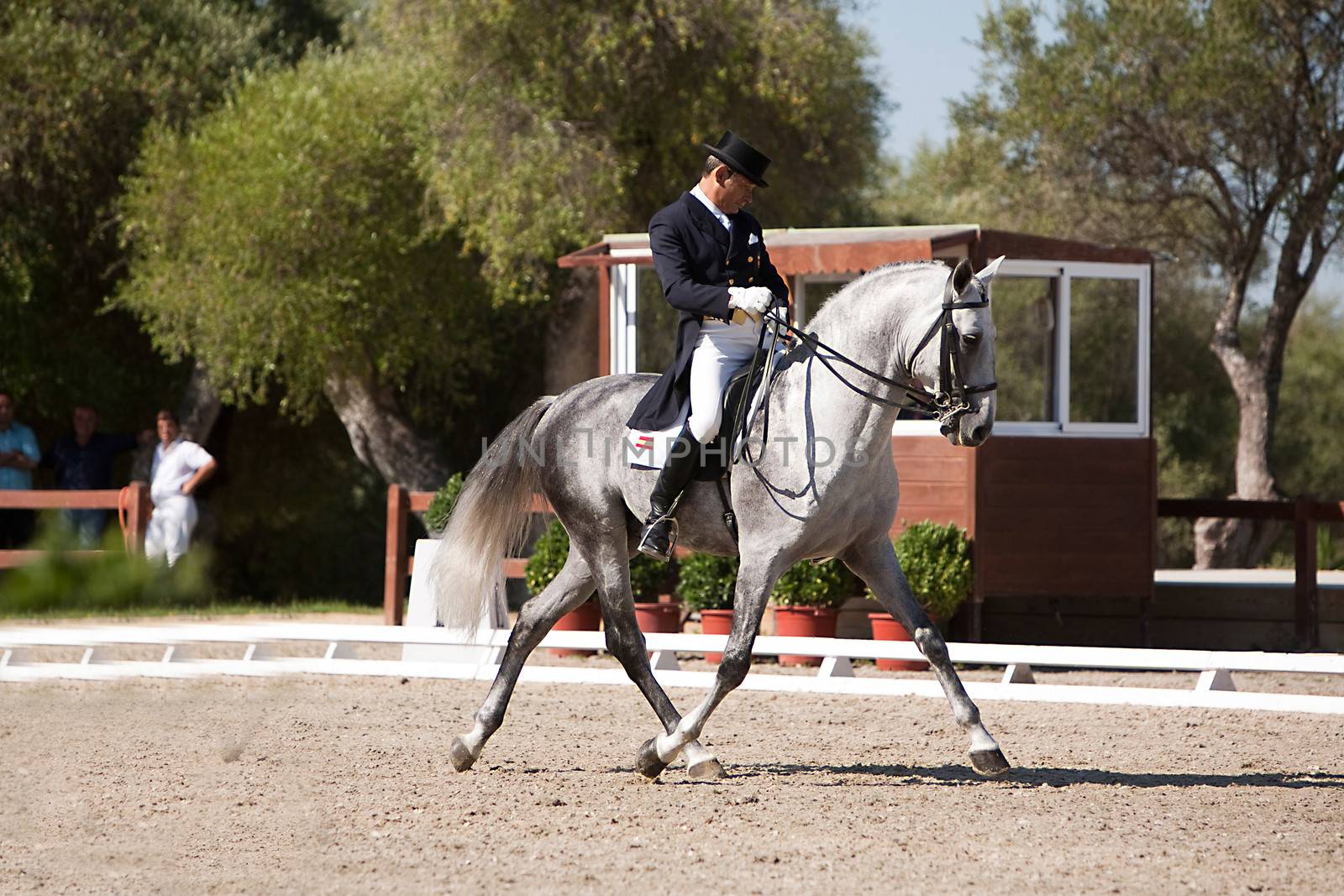 Rider competing in dressage competition classic, Spain by digicomphoto