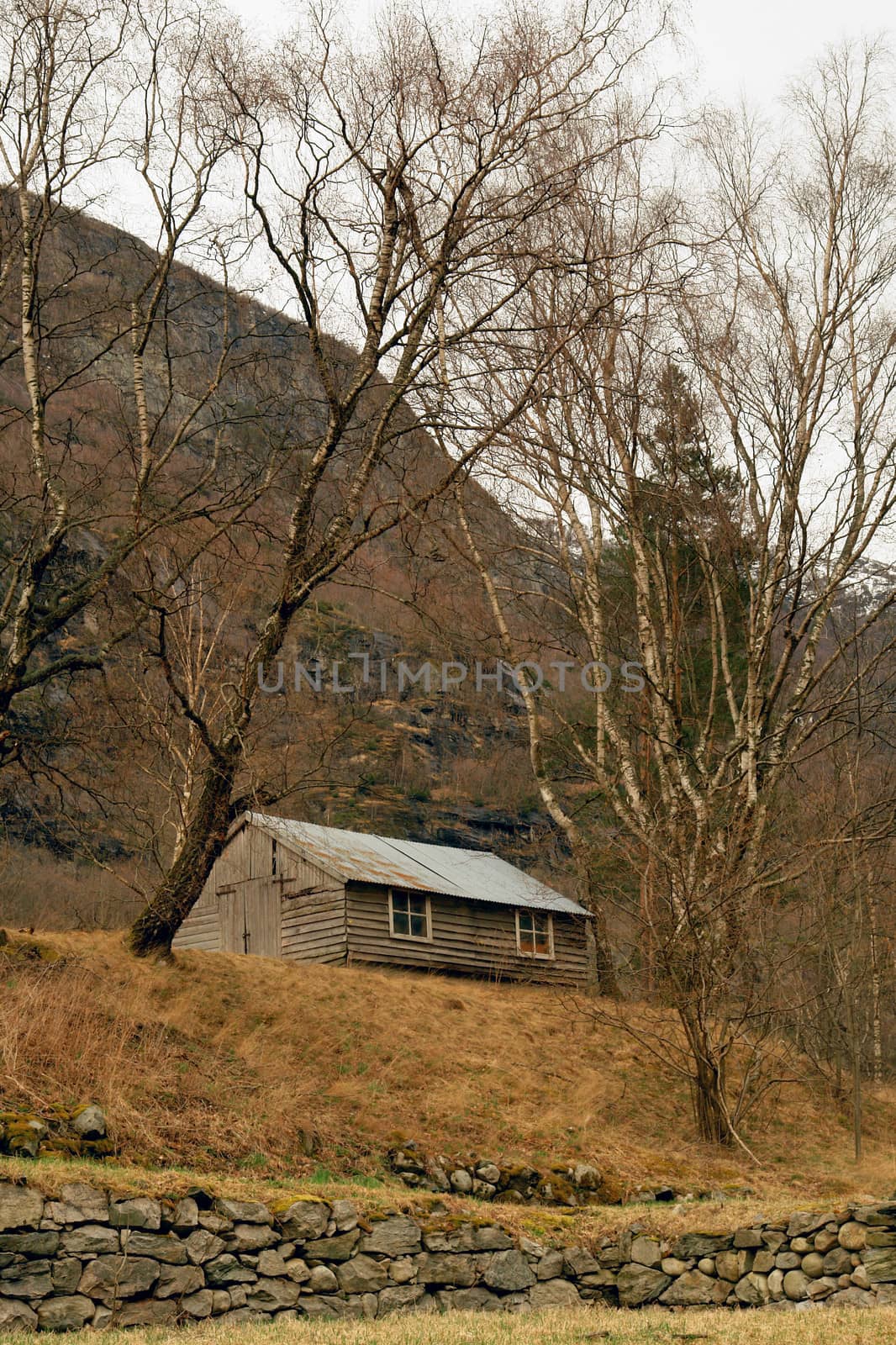 Norway tipical rural hut by ptxgarfield