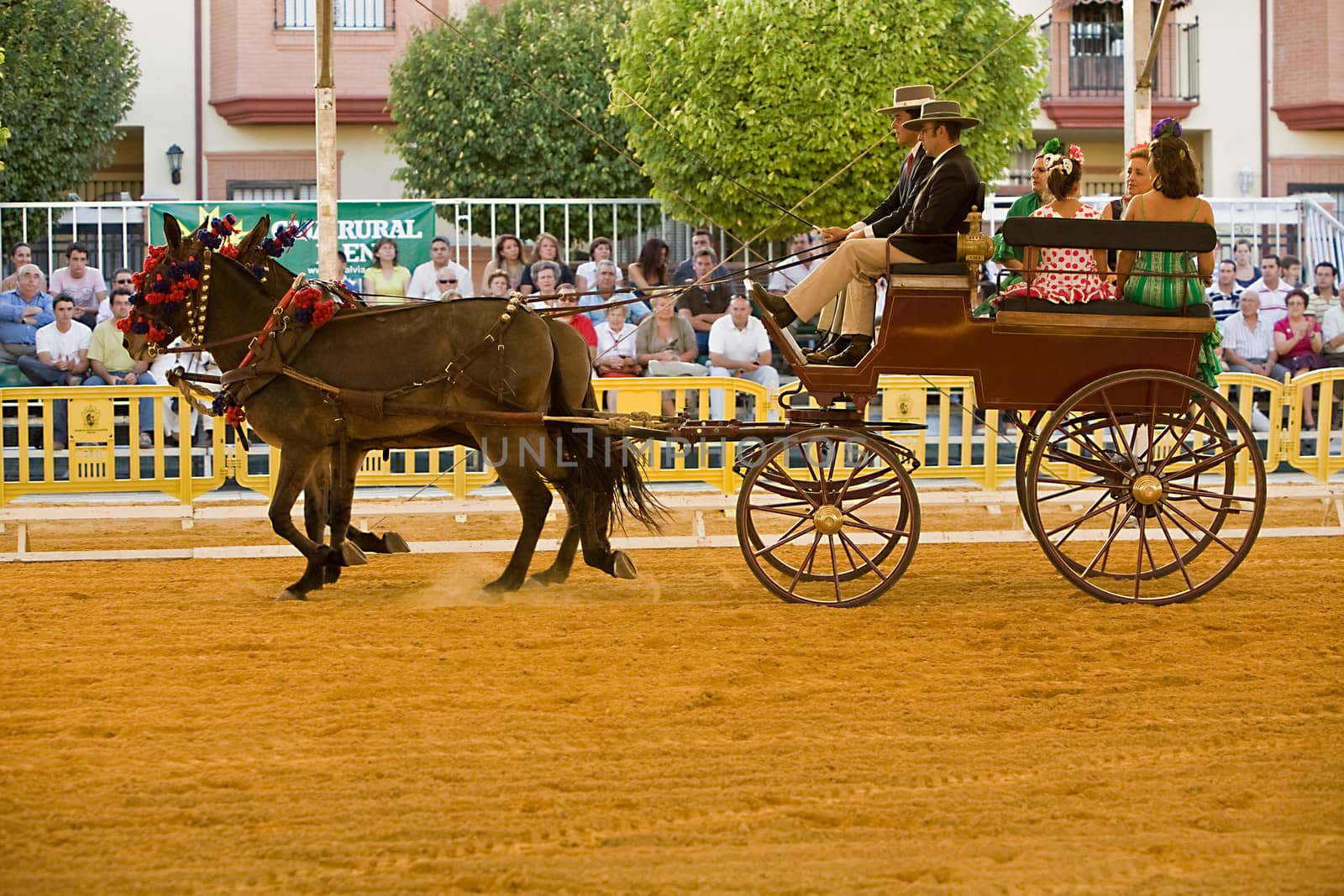 Carriage pulled by two horses, Spain