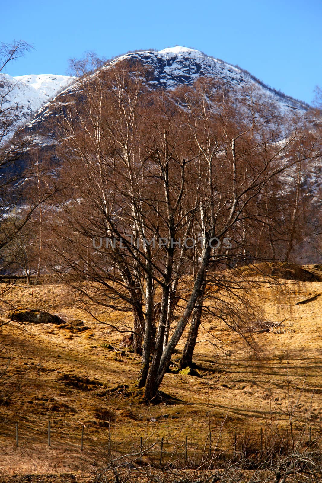 Fall Colors in Flam, Norway