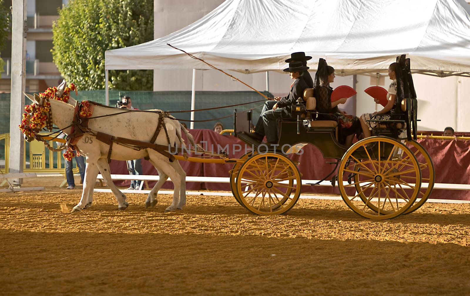 Carriage pulled by two horses, Spain