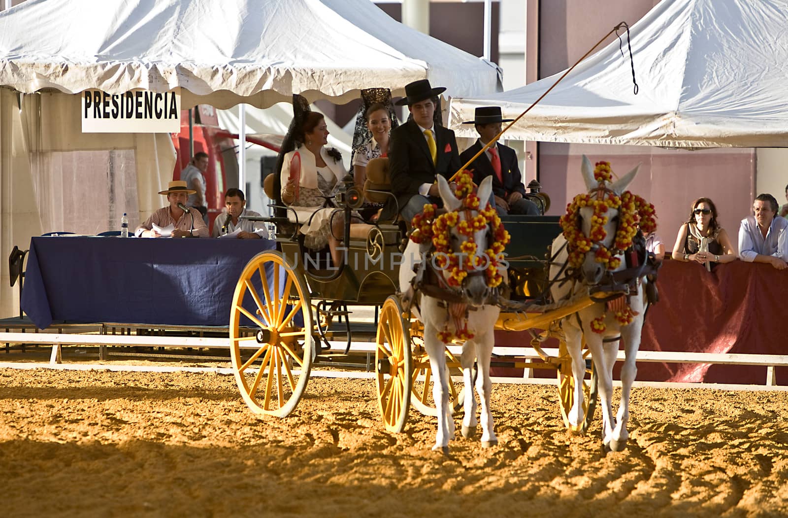 Carriage pulled by two horses, Spain