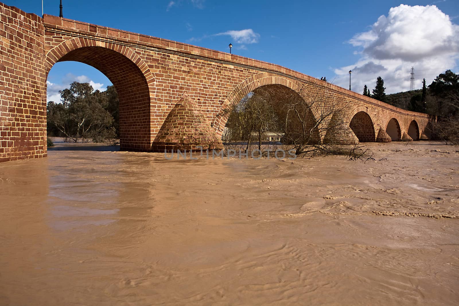 Guadalquivir River passing through Andujar, Jaen province, Andalusia, Spain