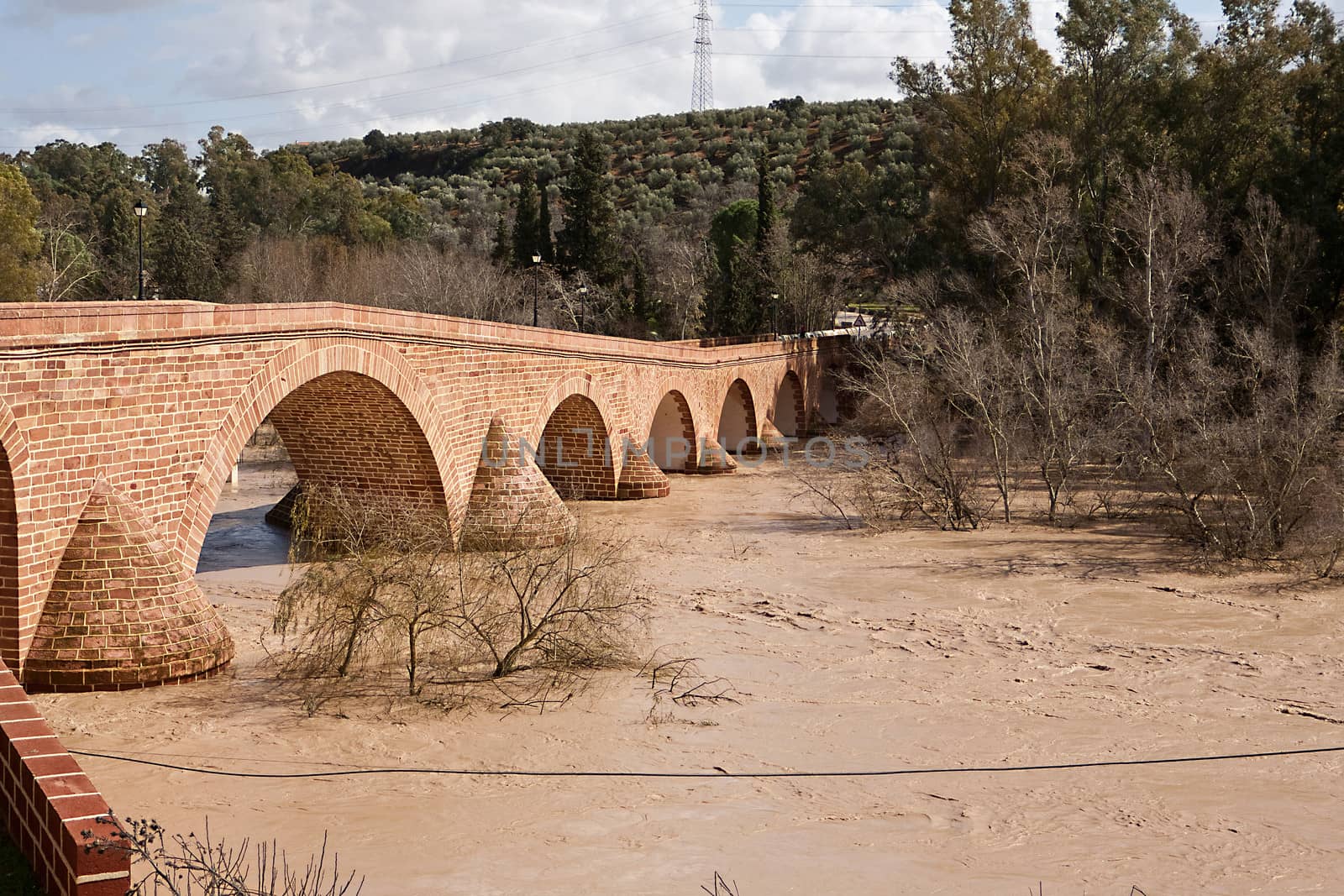 Guadalquivir River passing through Andujar, Jaen province, Andalusia, Spain