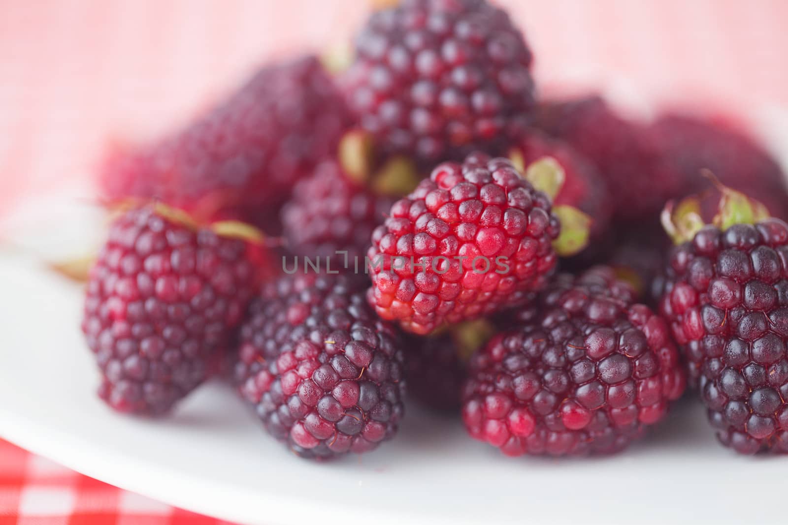  blackberries on plate on checkered fabric