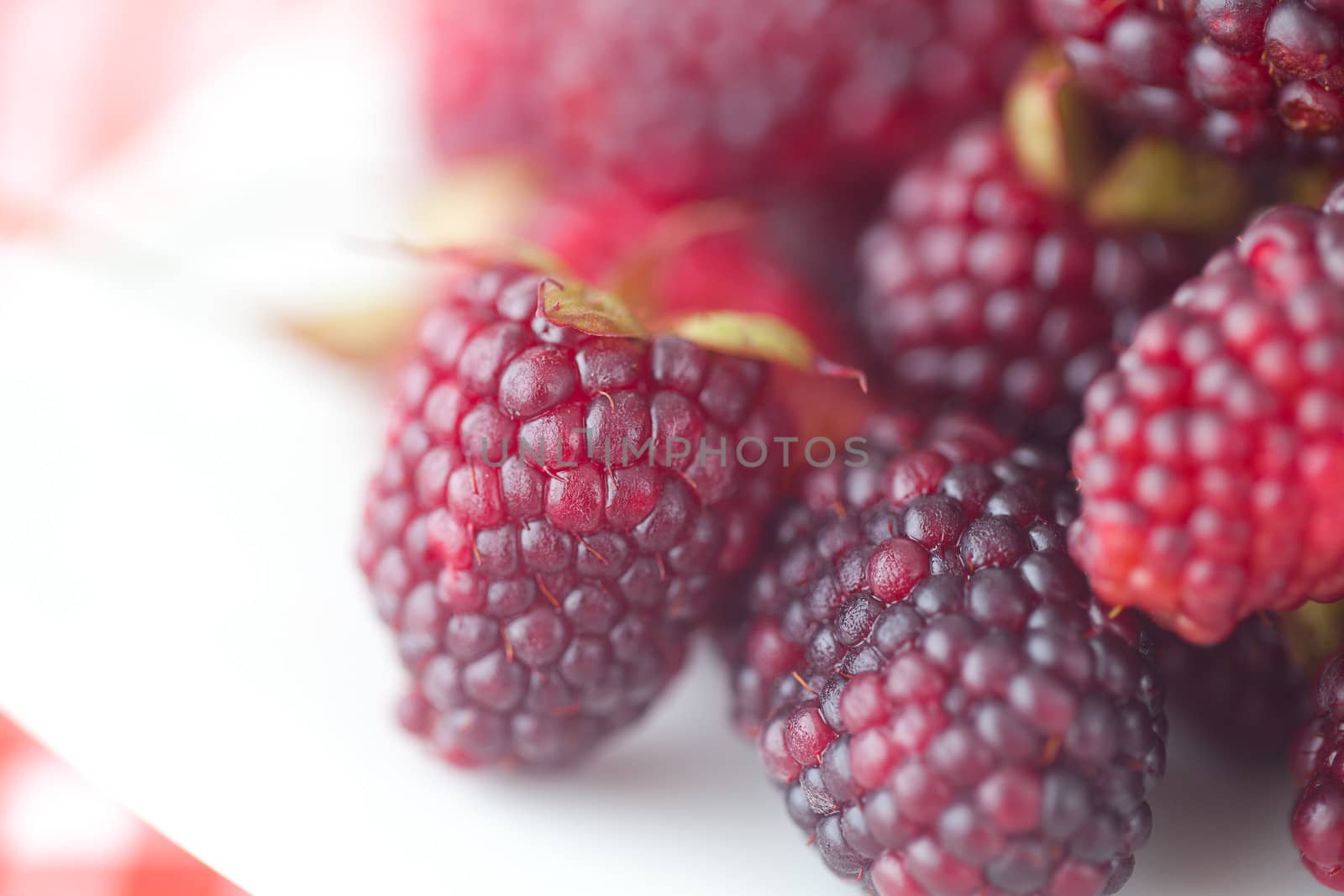  blackberries on plate on checkered fabric by jannyjus