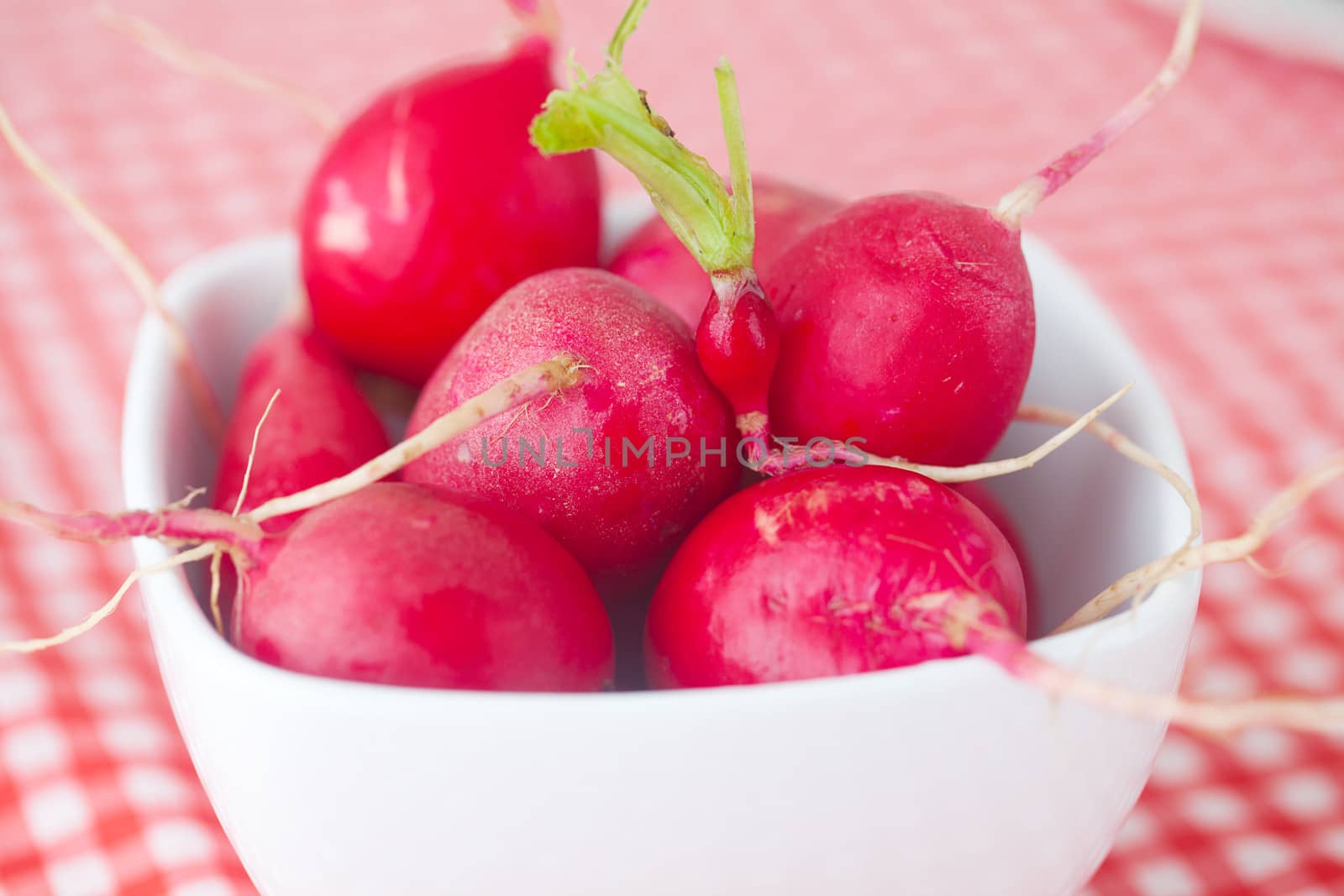 radish in bowl on checkered fabric by jannyjus