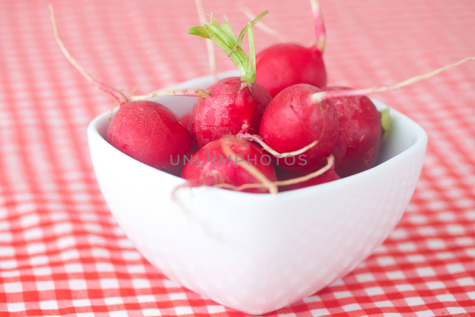 radish in bowl on checkered fabric by jannyjus