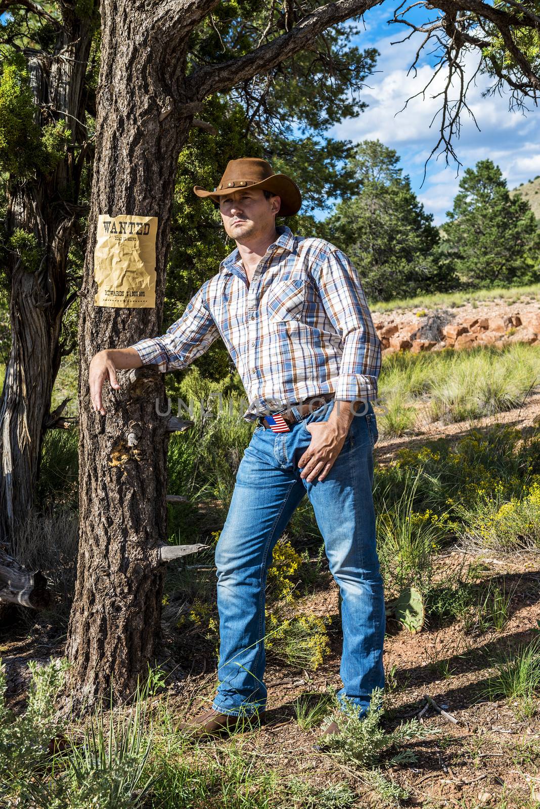 SOUTH WEST - A cowboy takes time to rest and reflect.