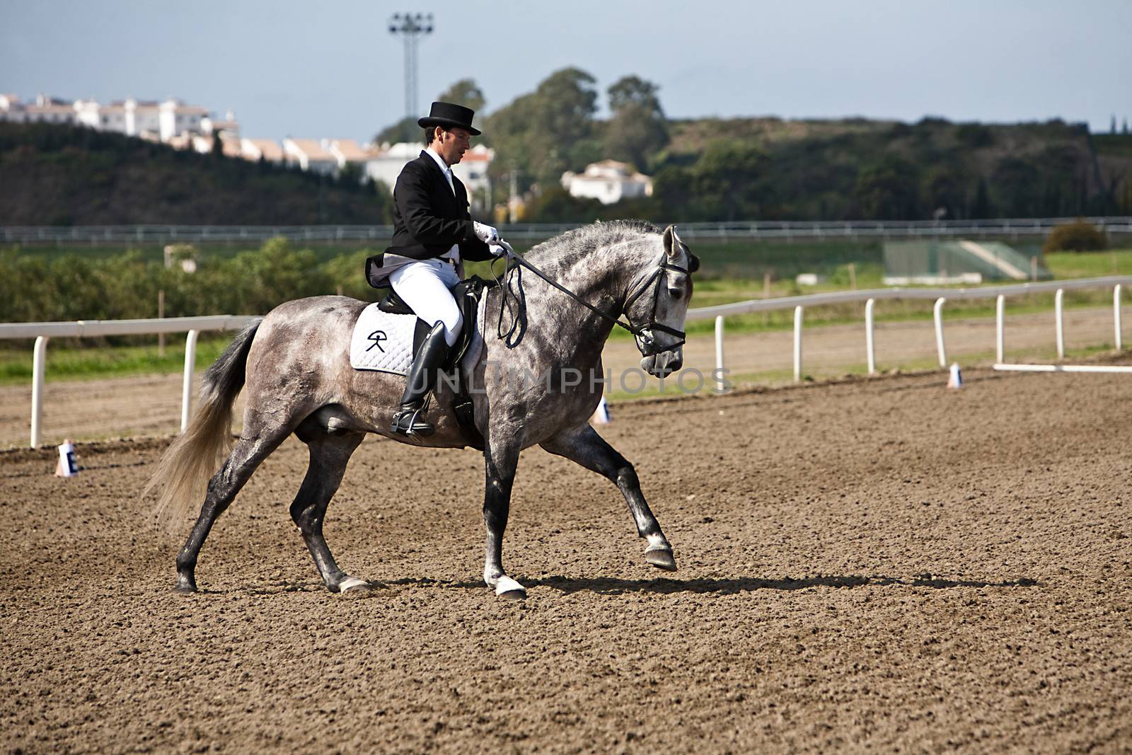 Rider competing in dressage competition classic, Spain by digicomphoto