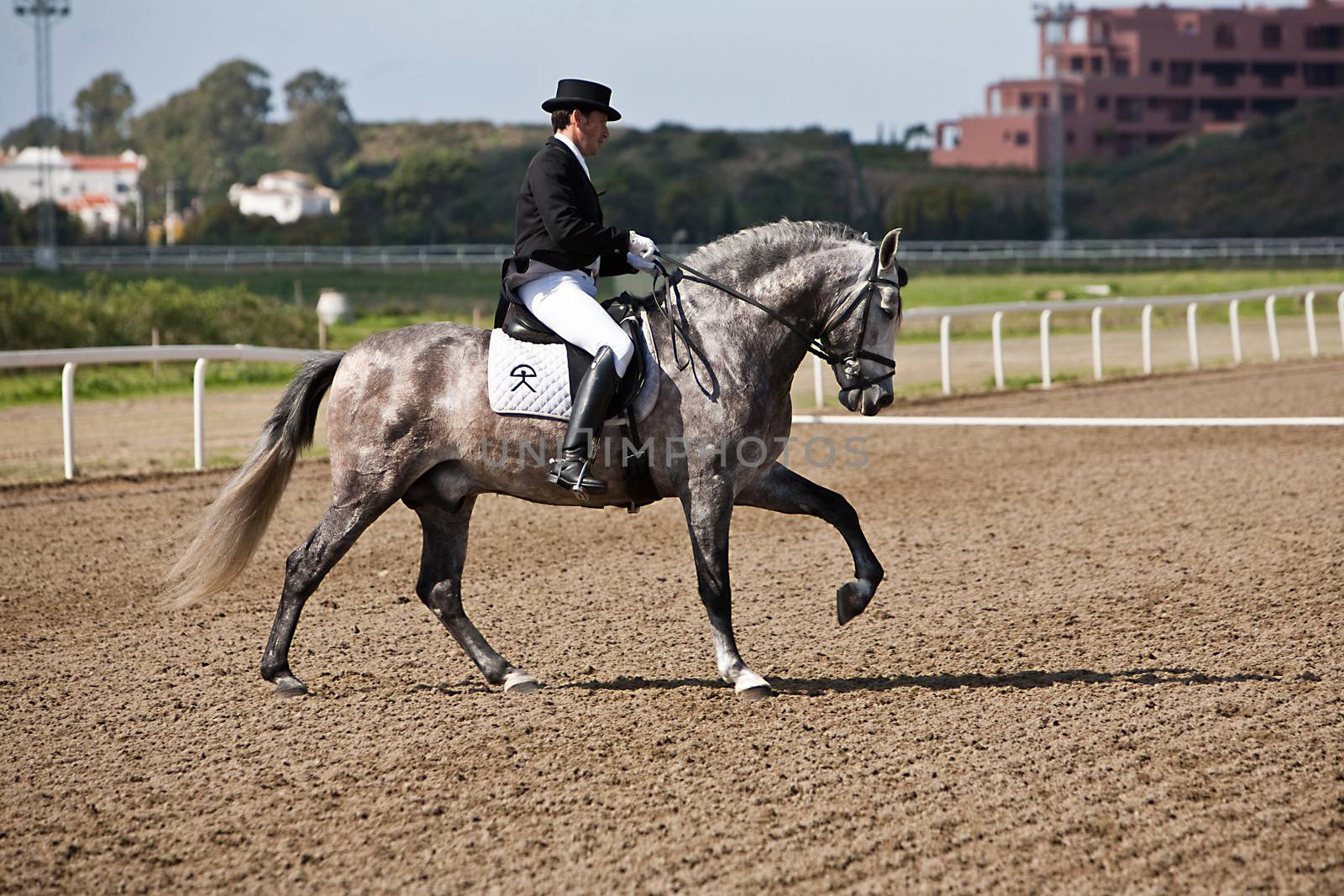 Rider competing in dressage competition classic, Mijas, Malaga province, Andalusia, Spain