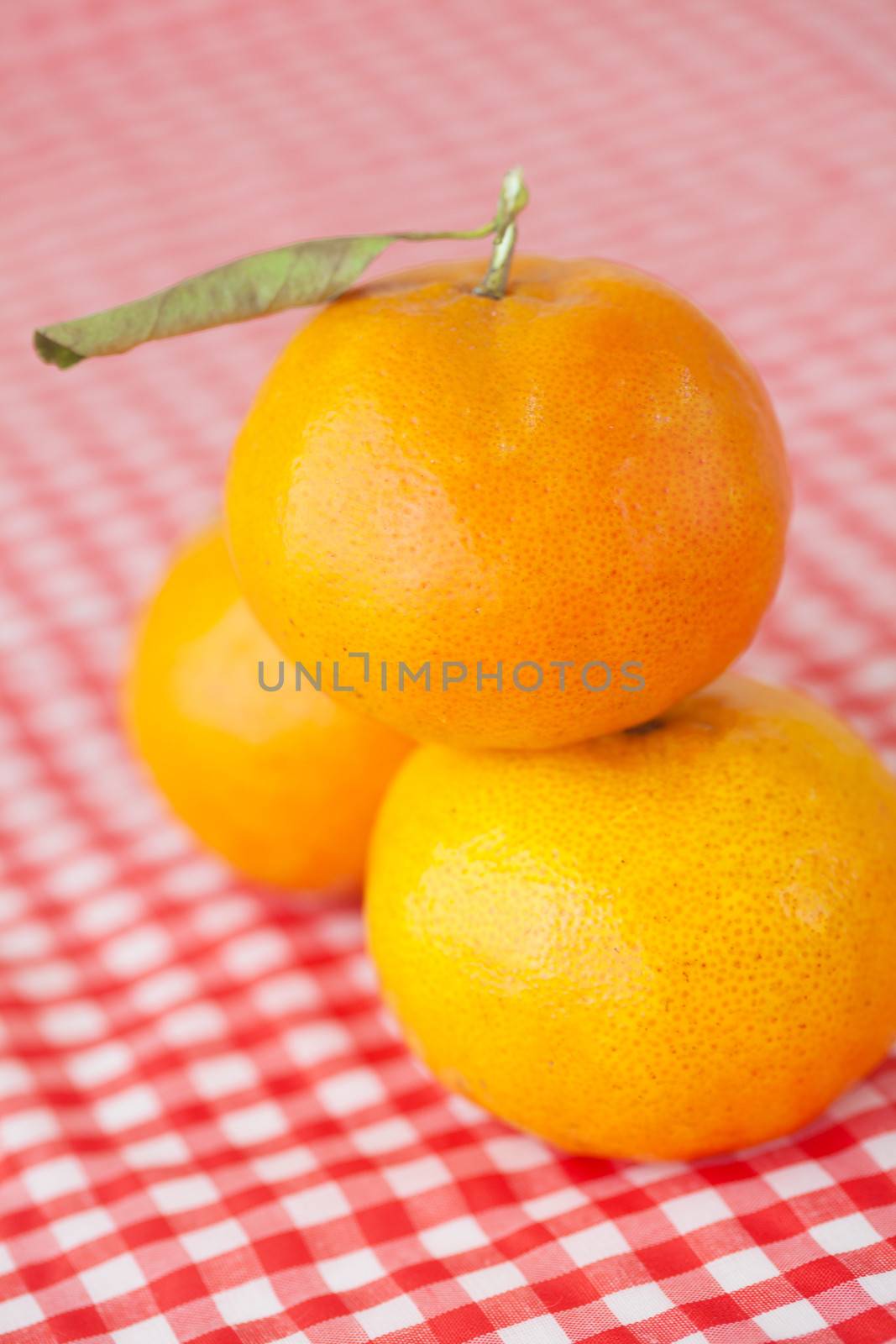 tangerine on checkered fabric