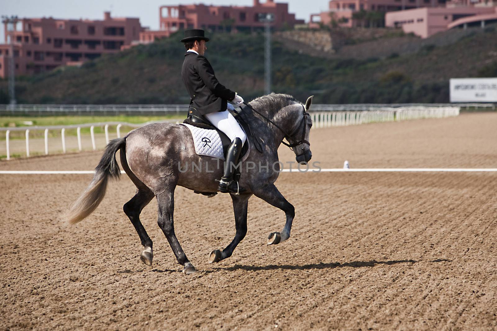 Rider competing in dressage competition classic, Mijas, Malaga province, Andalusia, Spain