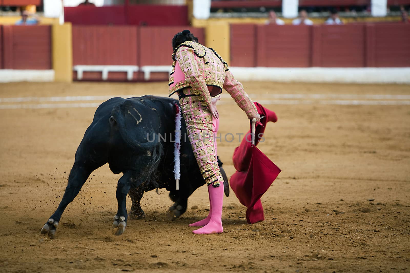 The Spanish bullfighter Morante de la Puebla barefoot after being caught by the bull. Bullfight at Andujar bullring, Jaen province, Andalusia, Spain, 11 September 2009