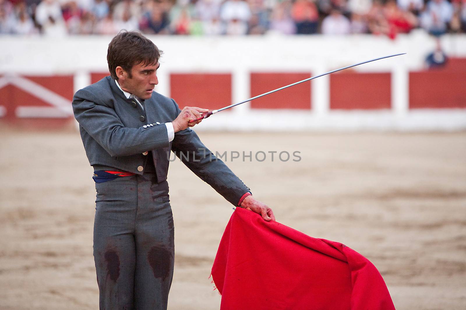 David Gil stabbing a bull. Bullfight at Linares bullring, Linares, Jaen province, Andalusia, Spain, 15 march 2009.