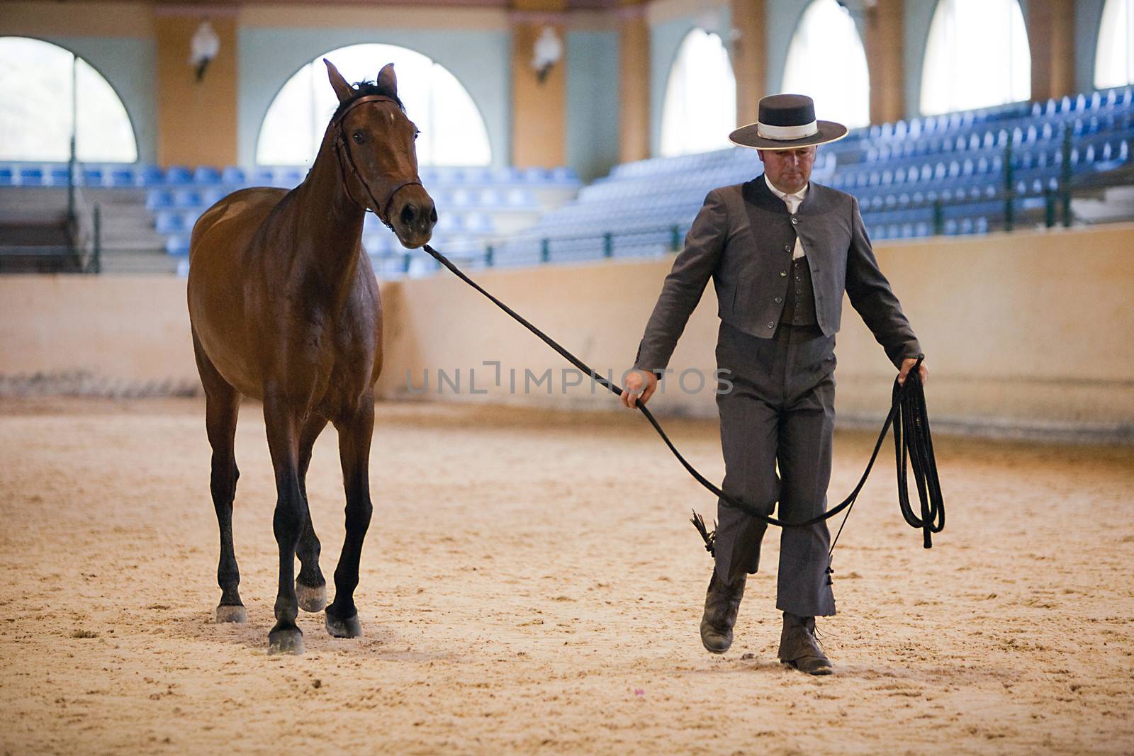 Functionality testing of horses of purebred Spanish, Spain by digicomphoto