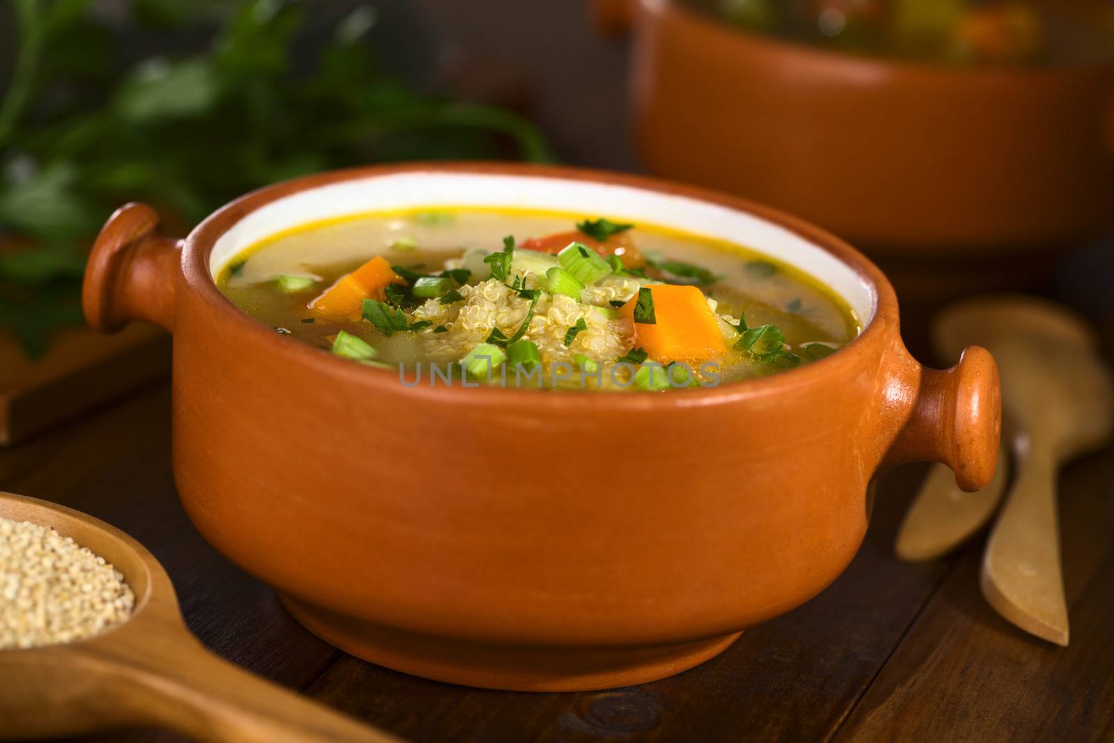 Vegetarian quinoa soup with carrot, potato, celery and leek, sprinkled with parsley and scallion (Selective Focus, Focus one third into the soup)