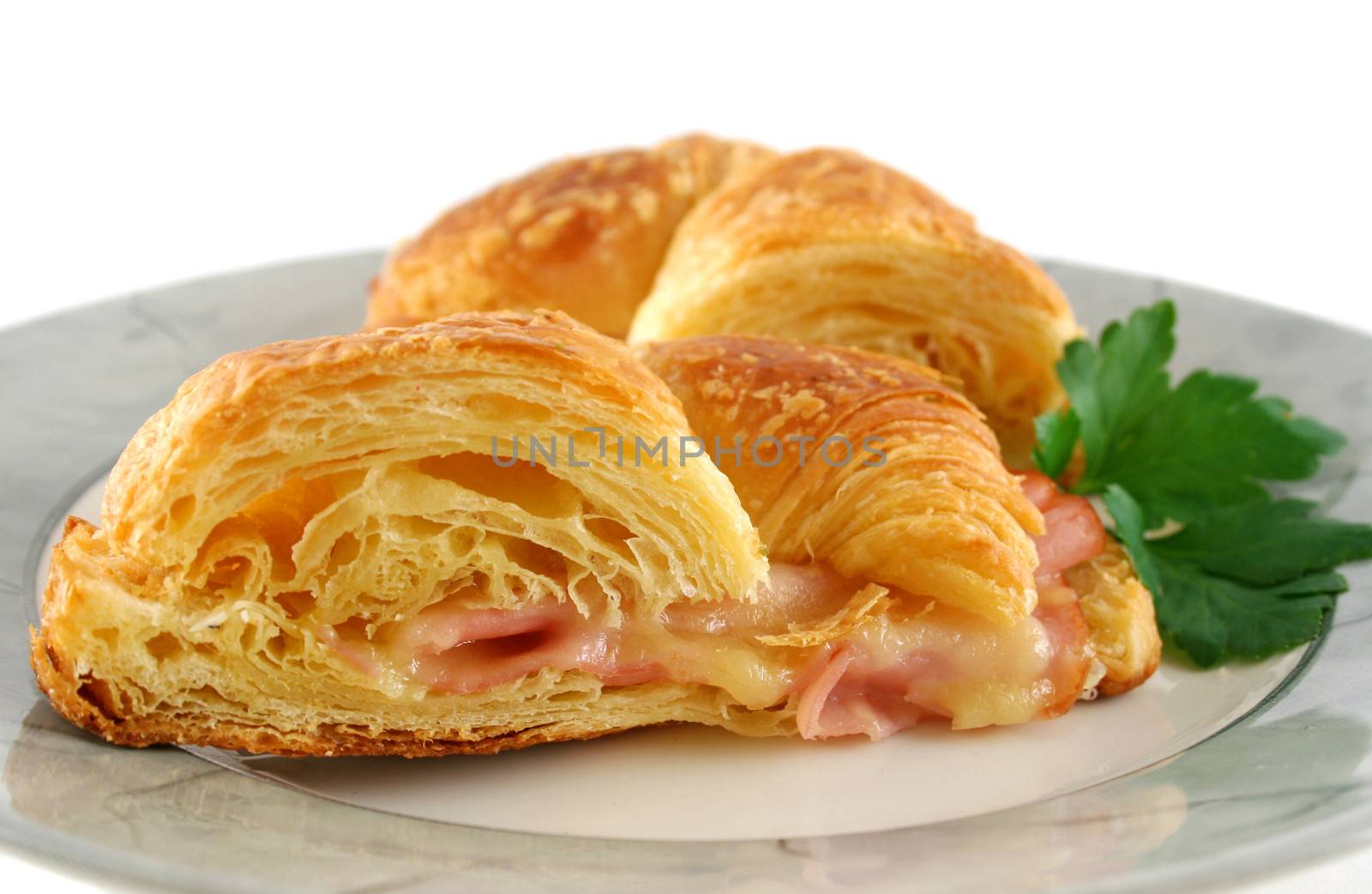 Hot melted cheese and ham croissant ready to serve.