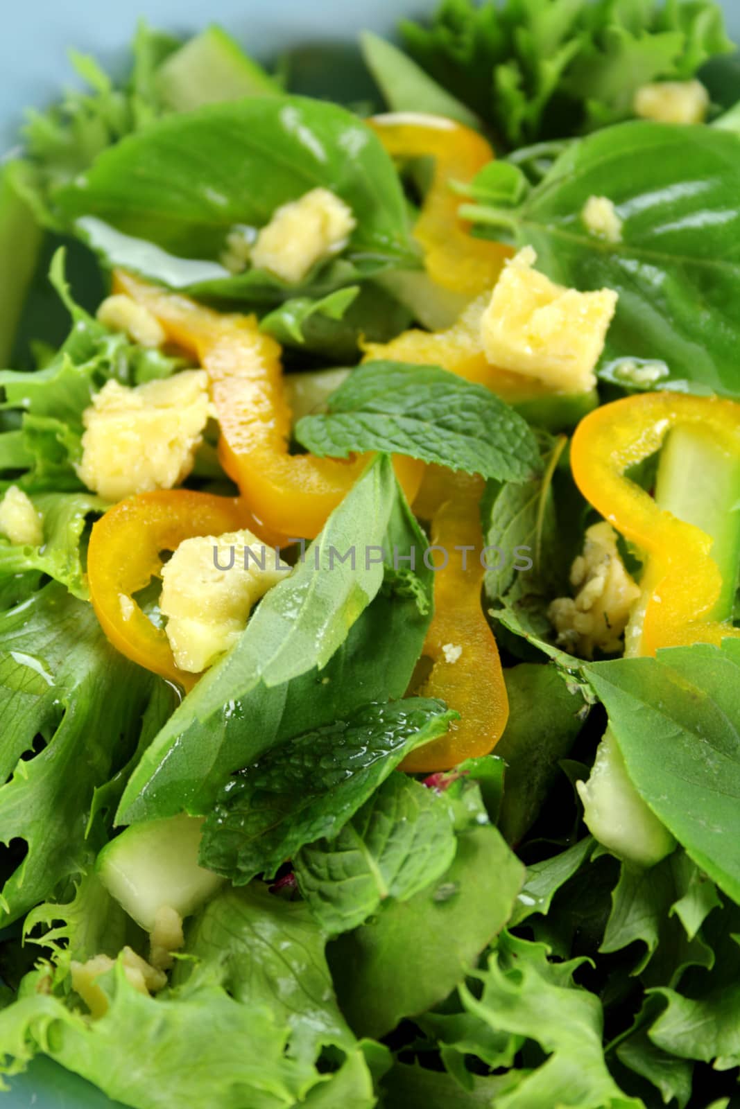 Delicious mixed leaf salad with blue cheese dressed with olive oil.