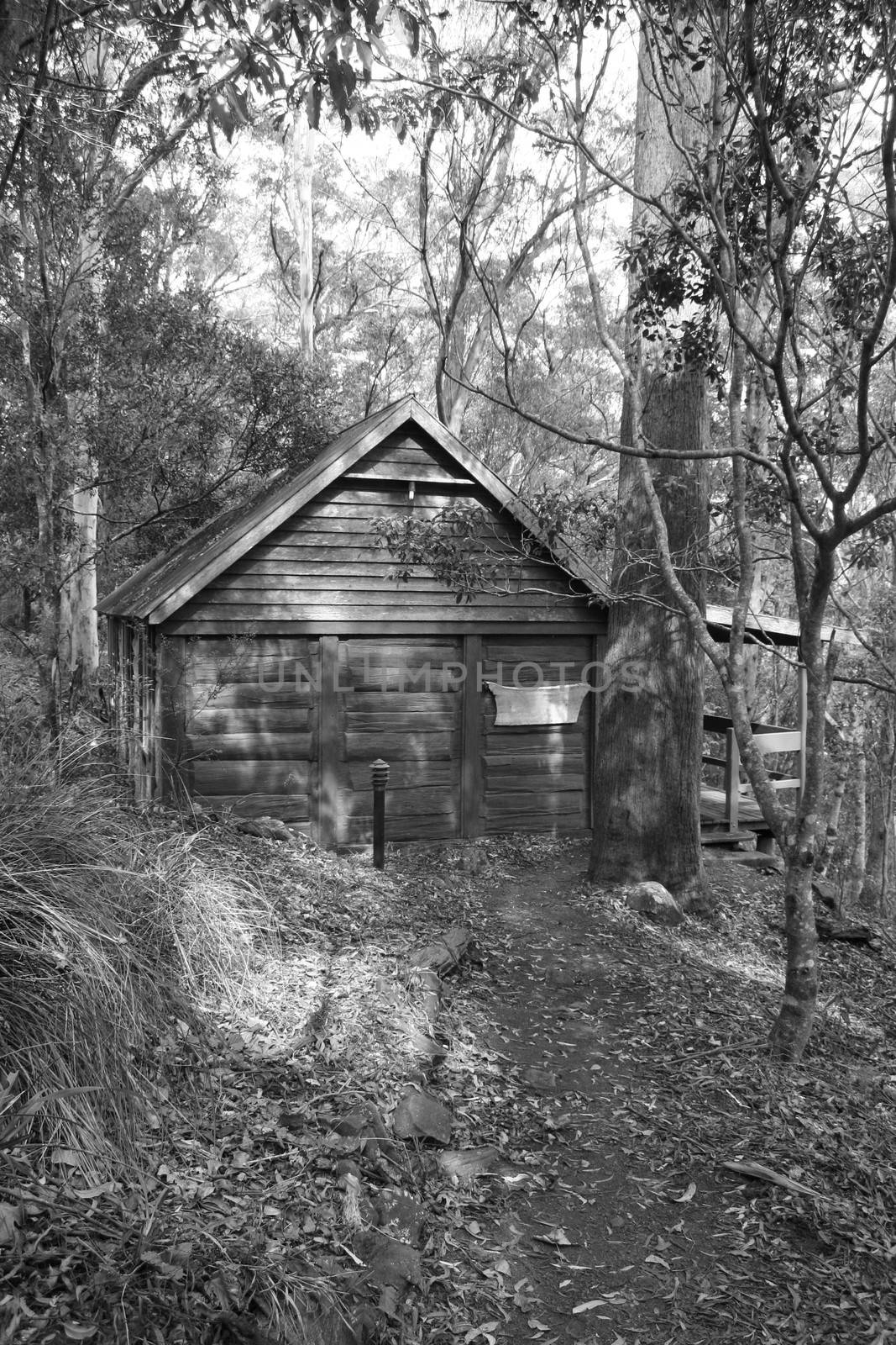 Old rustic log cottage hidden away in the forest.