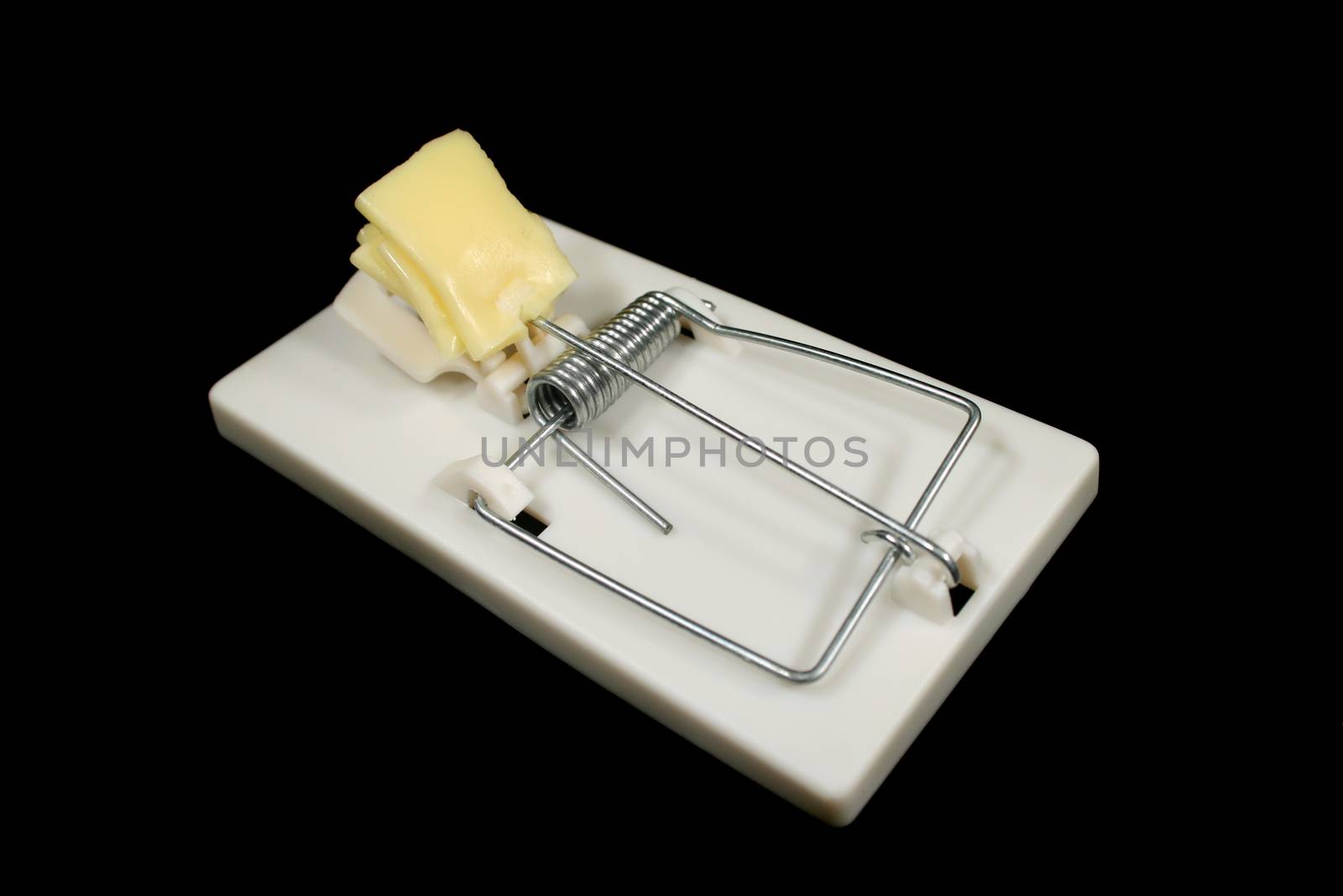 Loaded mousetrap with cheese bait ready to go.