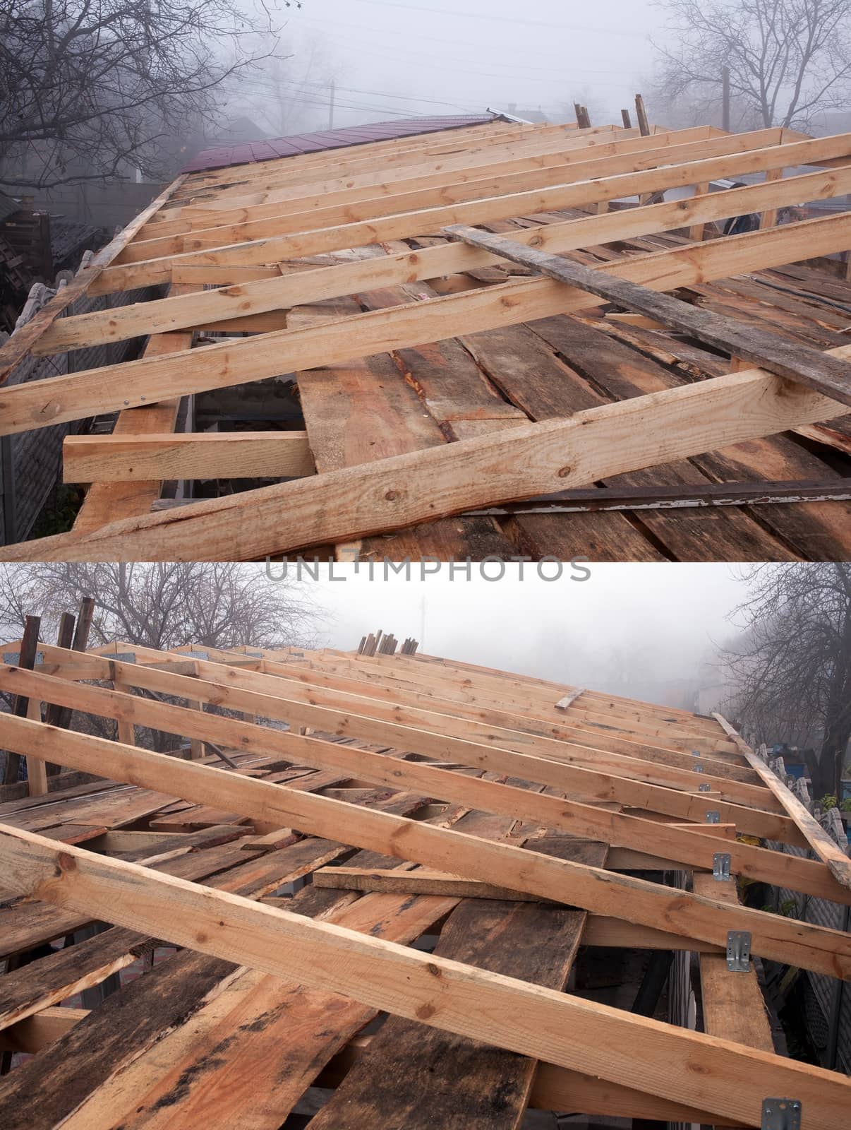 Roof rafters by Krakatuk