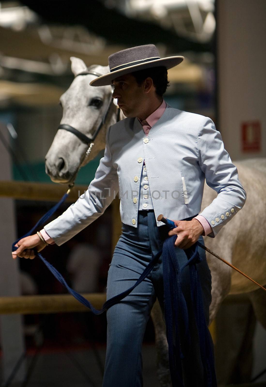 Equestrian test of morphology to pure Spanish horses, Spain