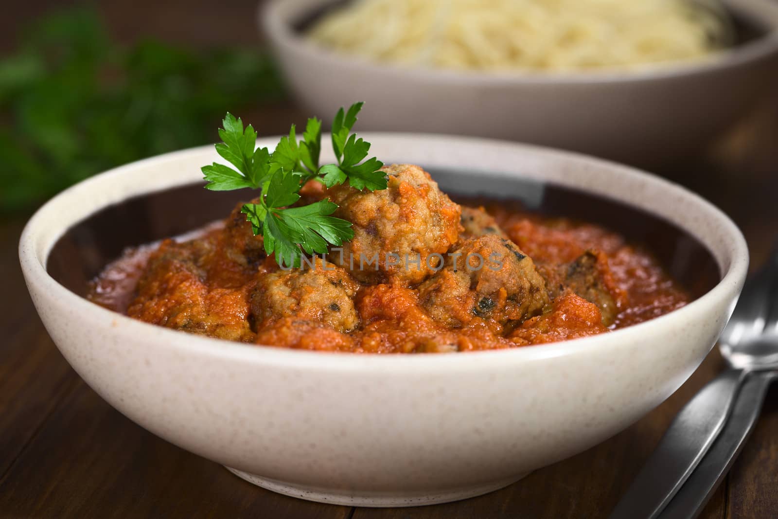 Spanish albondigas (meatballs) in tomato sauce in bowl garnished with parsley (Selective Focus, Focus on the meatball on the top and the front of the parsley)