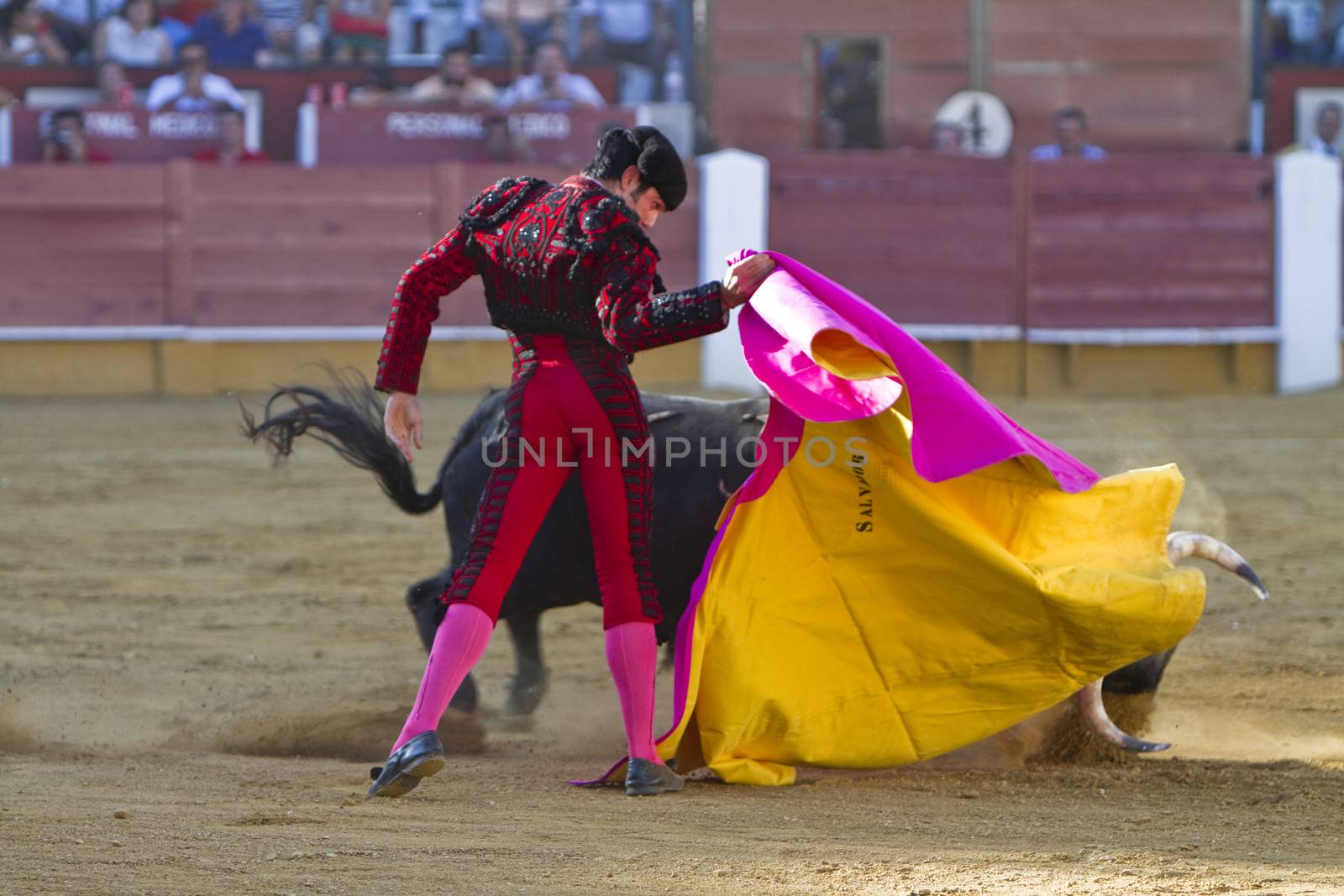 Salvador Vega with the capote in Priego de Cordoba, province of Cordoba, Spain