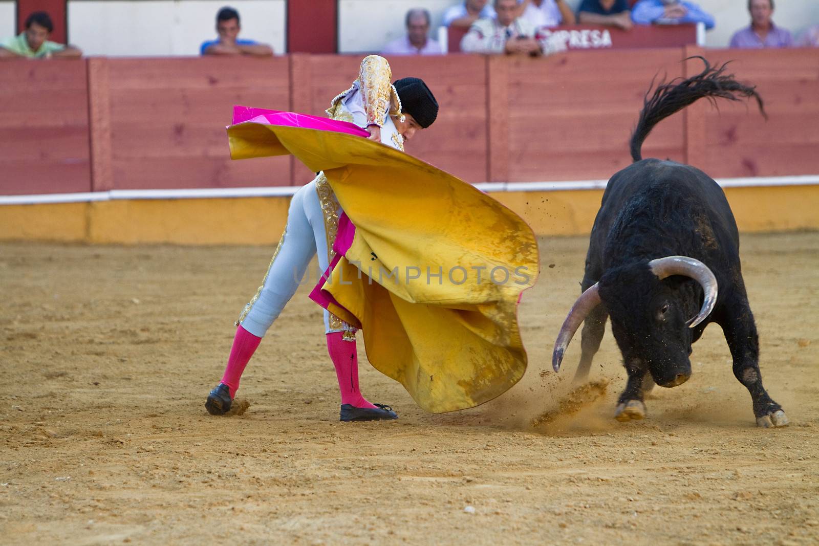 Curro Jimenez with the capote in Priego de Cordoba, province of Cordoba, Cordoba province , Andalusia, Spain