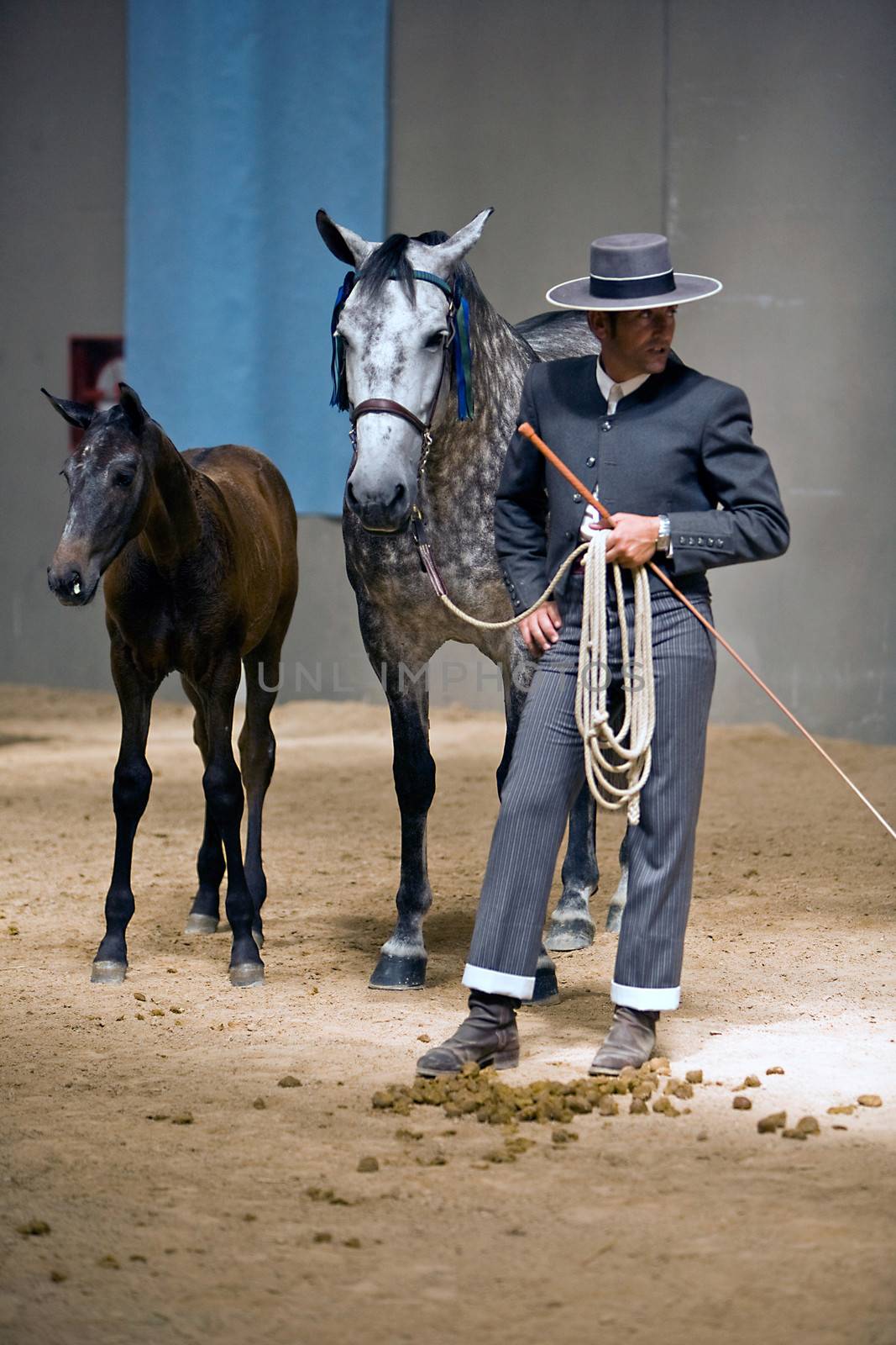 Equestrian test of morphology to pure Spanish horses, Spain