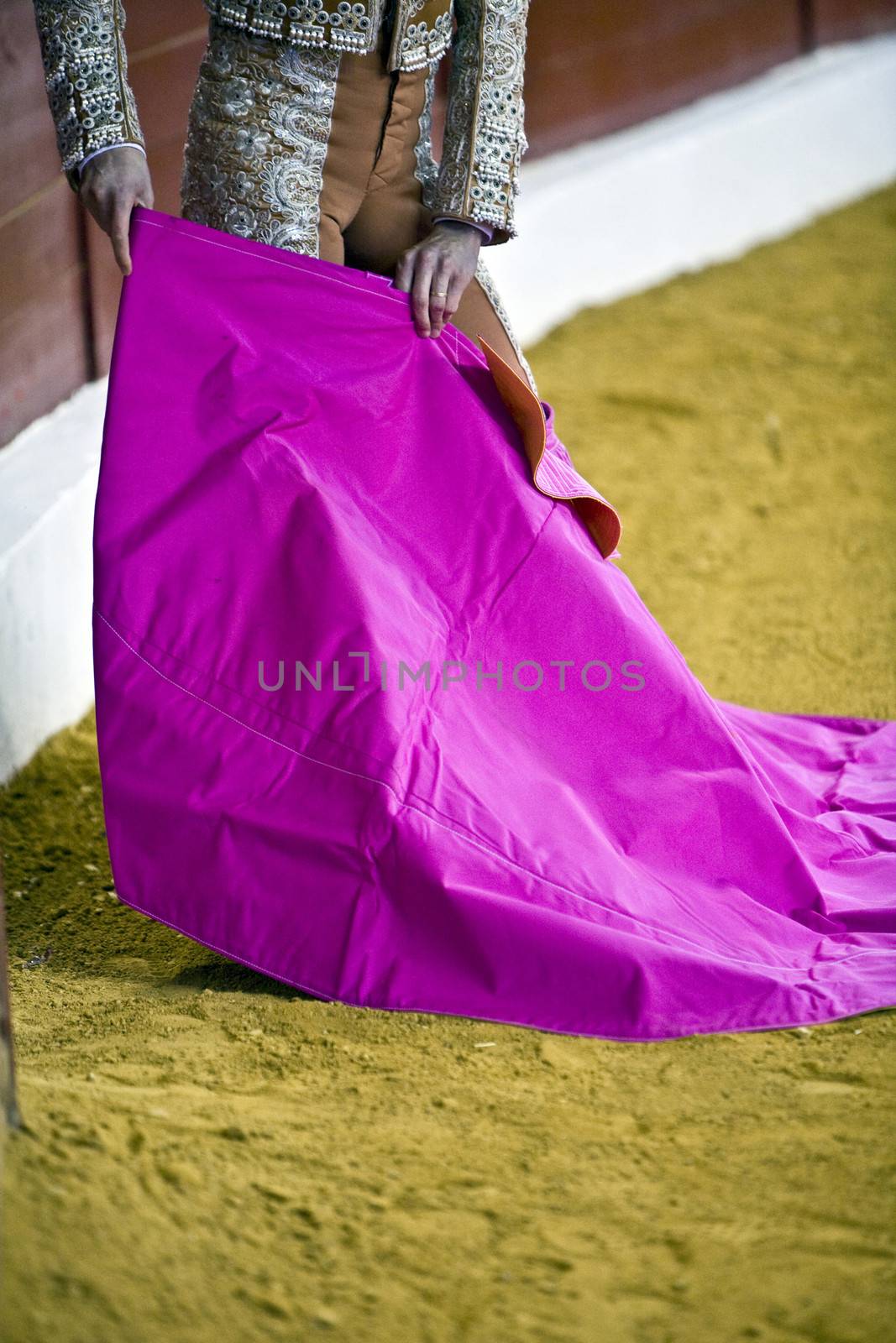 Bullfighter with the capote or cape, Spain