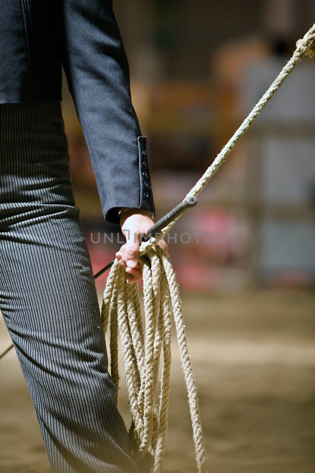 Closeup of rider holding rope during an equestrian event, equestrian test of morphology to pure Spanish horses, Spain