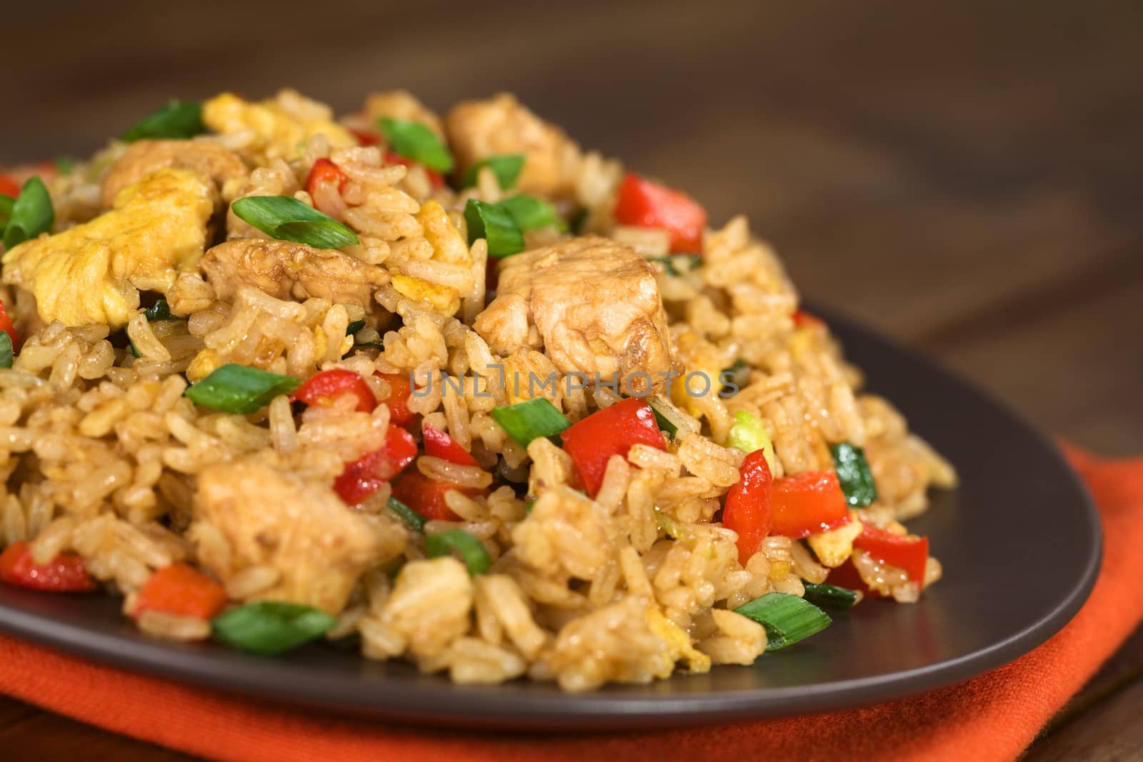 Fried Rice with Vegetables, Chicken and Egg by ildi