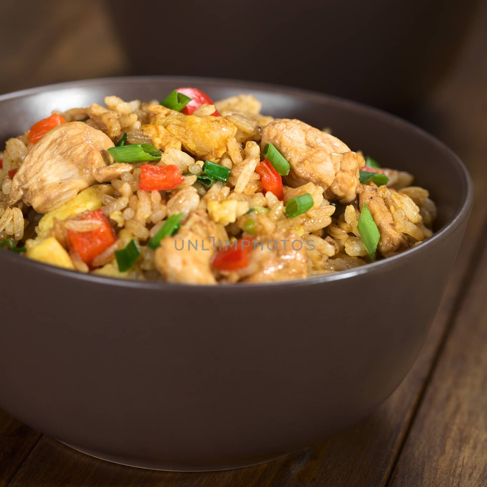 Homemade Chinese fried rice with vegetables, chicken and fried eggs served in a brown bowl (Selective Focus, Focus on the top of the dish)