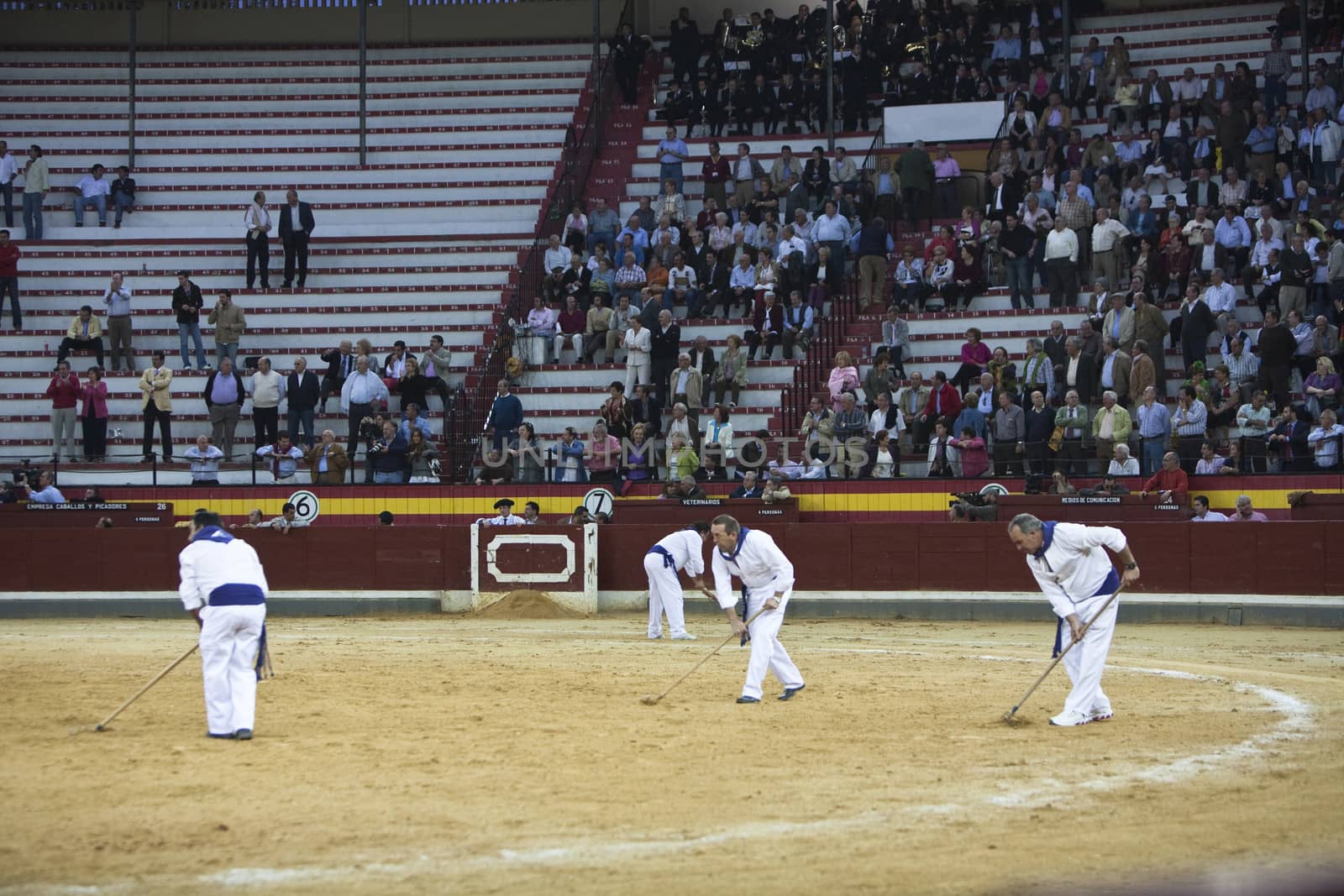 Bullring employee smoothing down the ground, Jaen, Spain