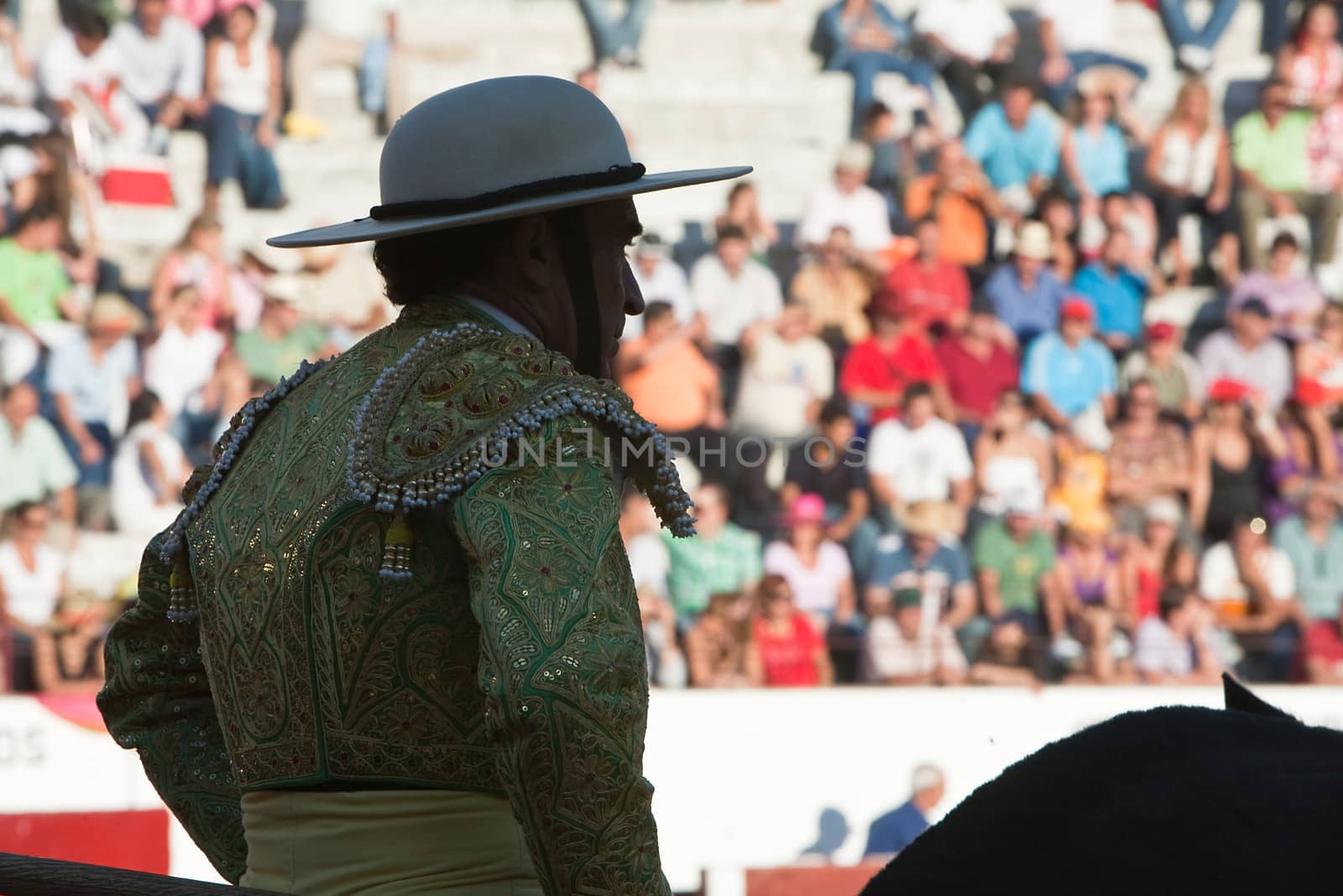 Picador bullfighter, lancer whose job it is to weaken bull's neck muscles, Spain