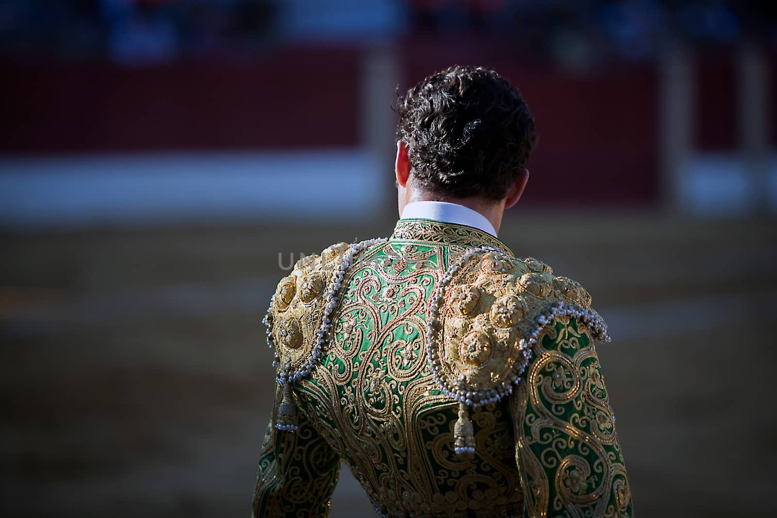 Detail of the "traje de luces" or bullfighter dress, Spain