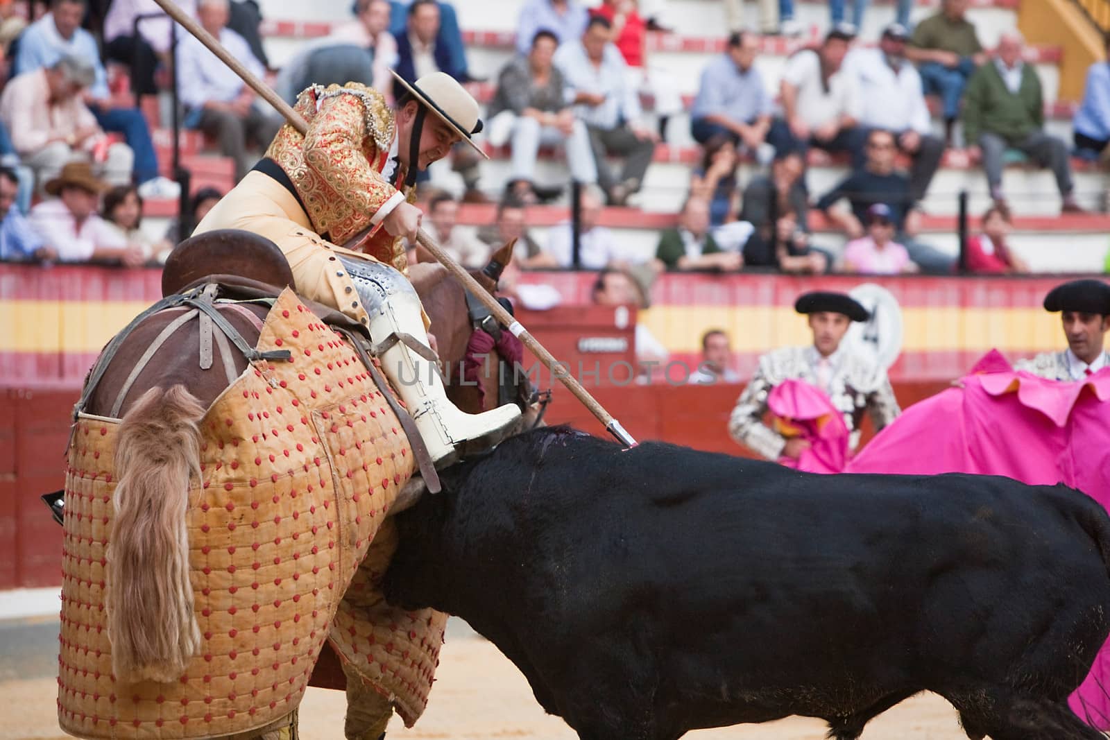 Picador bullfighter, lancer whose job it is to weaken bull's neck muscles, Spain