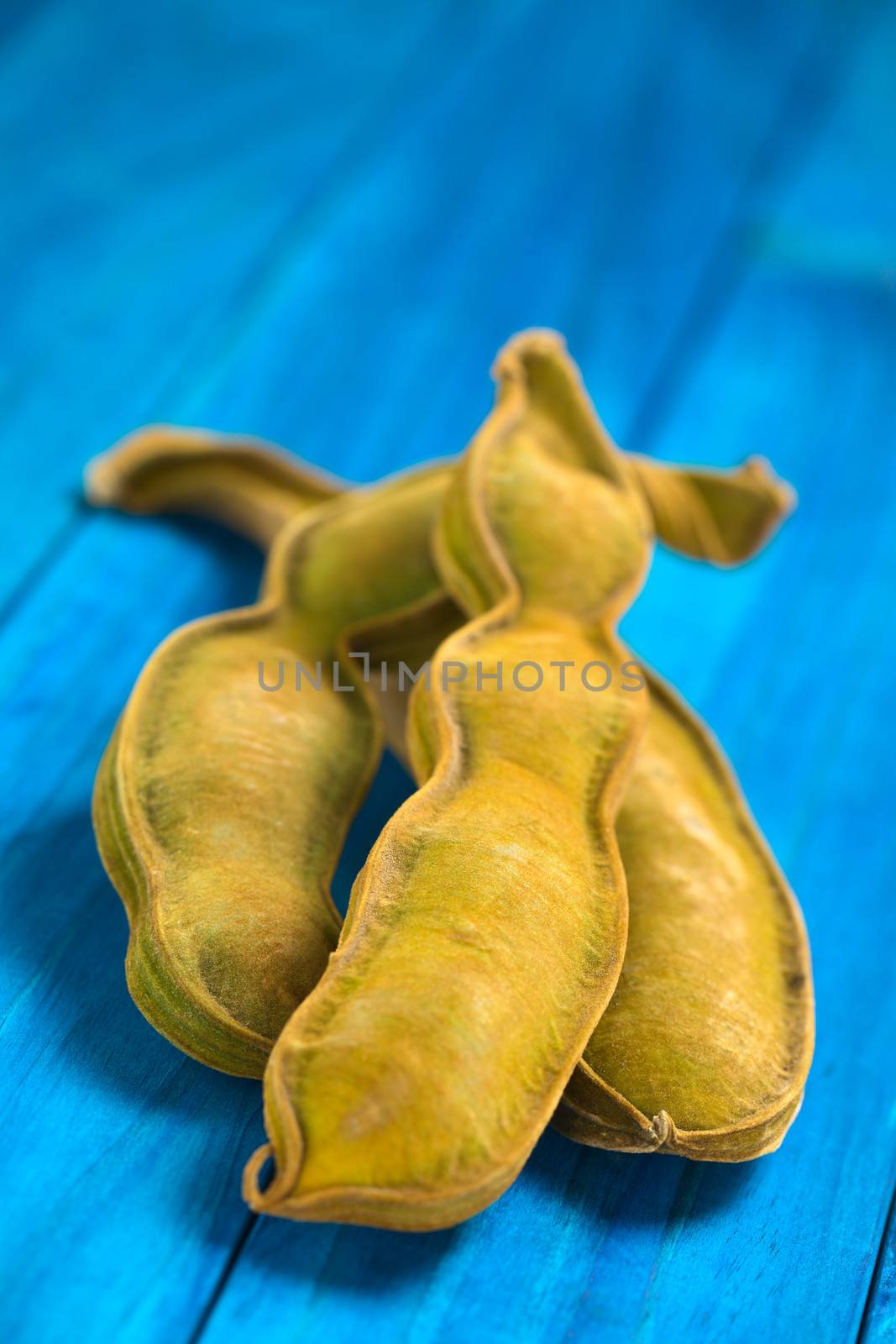 Peruvian fruit called Pacay (lat. Inga feuilleei), which is a podded fruit of which the sweet white pulp surrounding the seeds is being eaten (Selective Focus, Focus one third into the image)