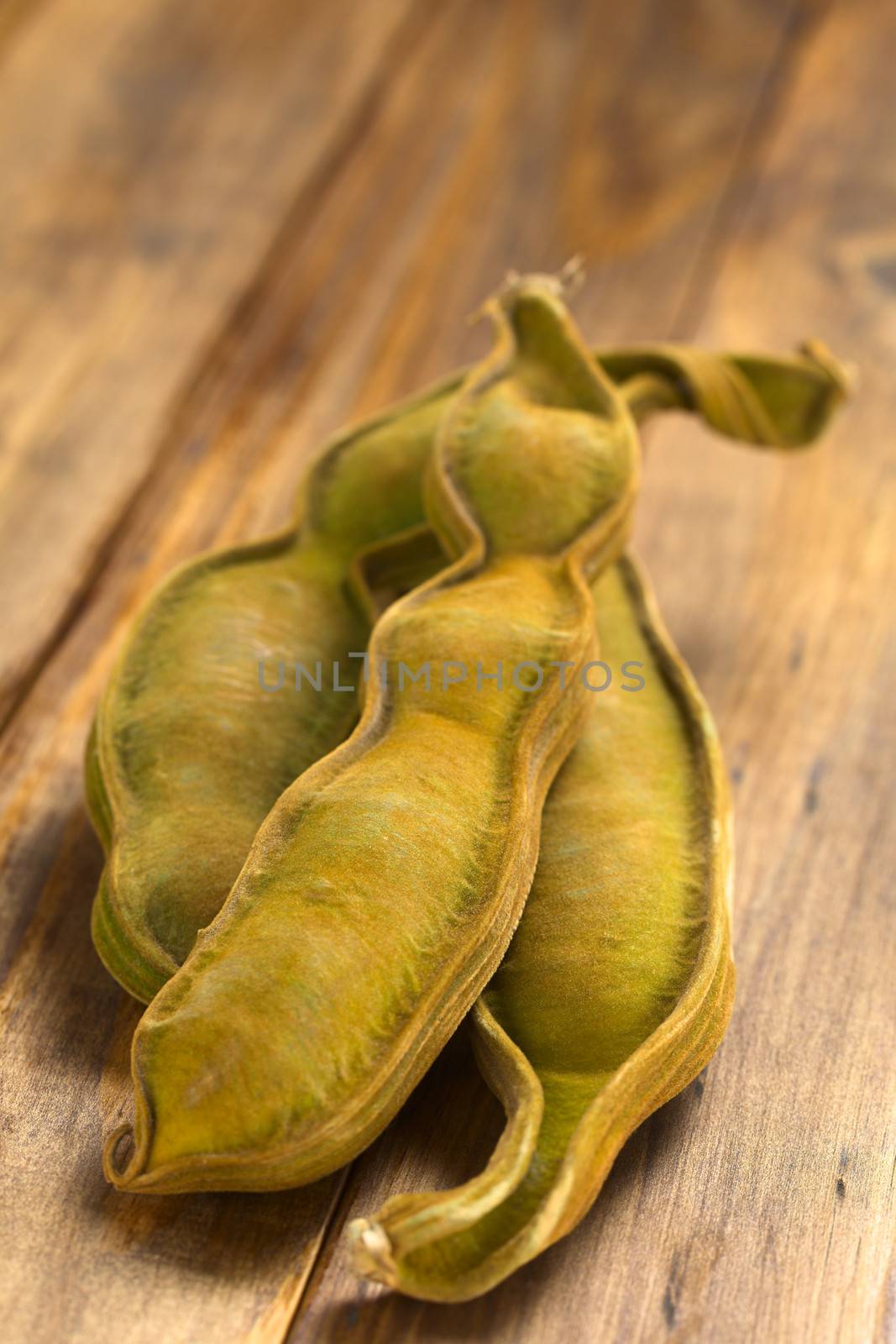 Peruvian fruit called Pacay (lat. Inga feuilleei), which is a podded fruit of which the sweet white pulp surrounding the seeds is being eaten (Selective Focus, Focus one third into the image)