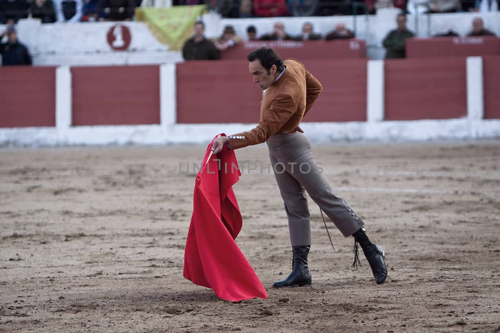 The spanish bullfighter Manuel Jesus "El Cid" bullfighting in a bullfight in Linares, province of Jaen, Spain, Spain 14 march 2010