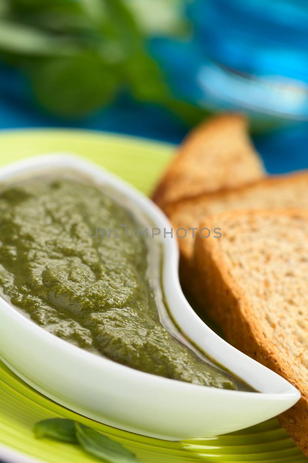 Fresh pesto made of basil and spinach in a small bowl with toasted wholegrain bread on the side (Selective Focus, Focus one third into the pesto)  