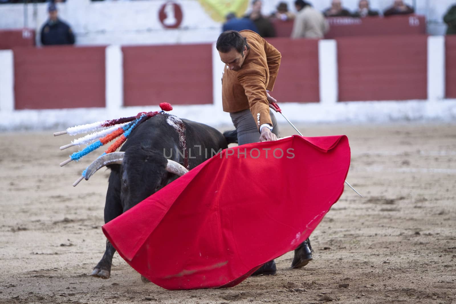The spanish bullfighter Manuel Jesus "El Cid" bullfighting in a bullfight in Linares, province of Jaen, Spain, Spain 14 march 2010