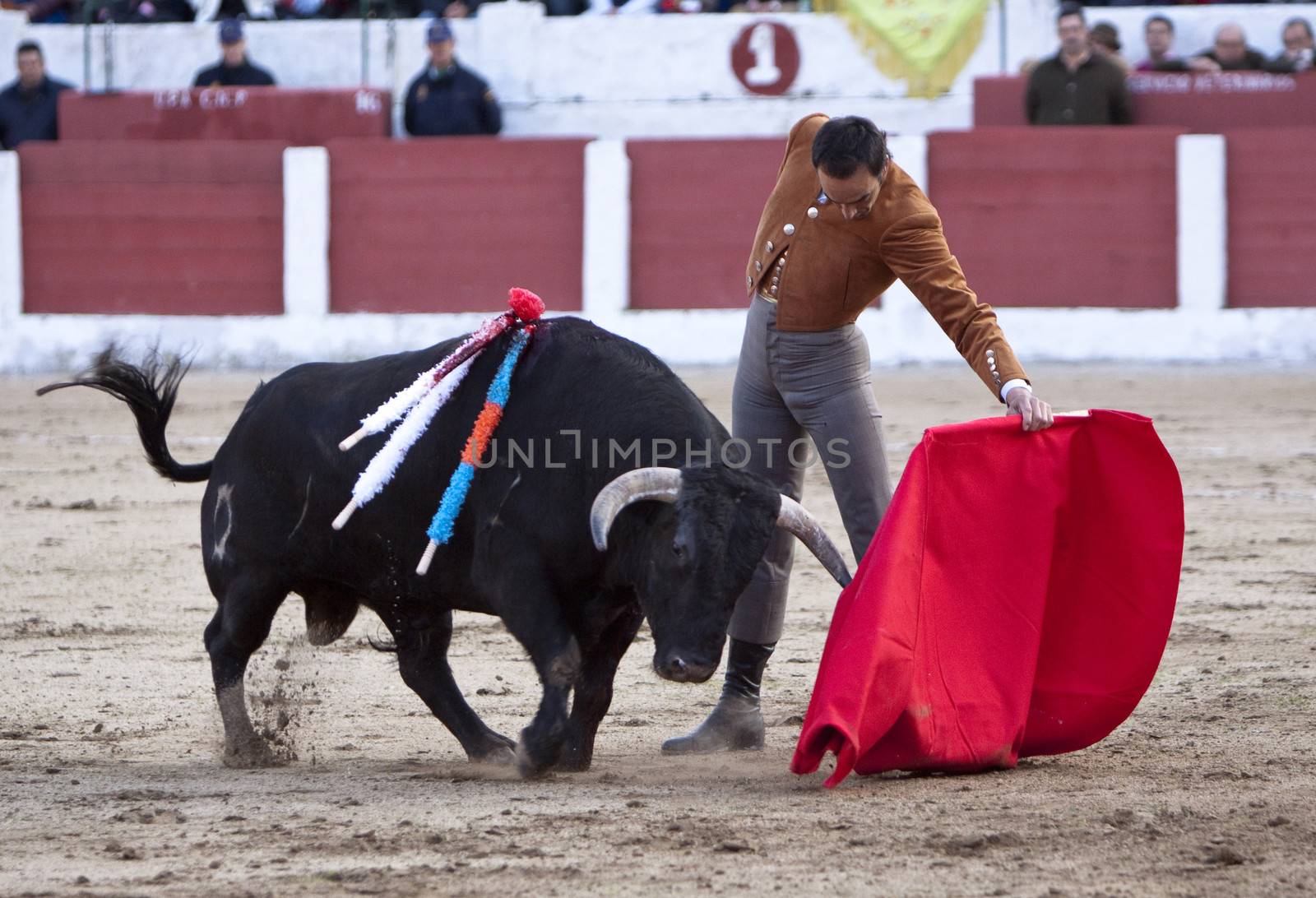 The spanish bullfighter Manuel Jesus "El Cid" bullfighting in a bullfight in Linares, province of Jaen, Spain, Spain 14 march 2010