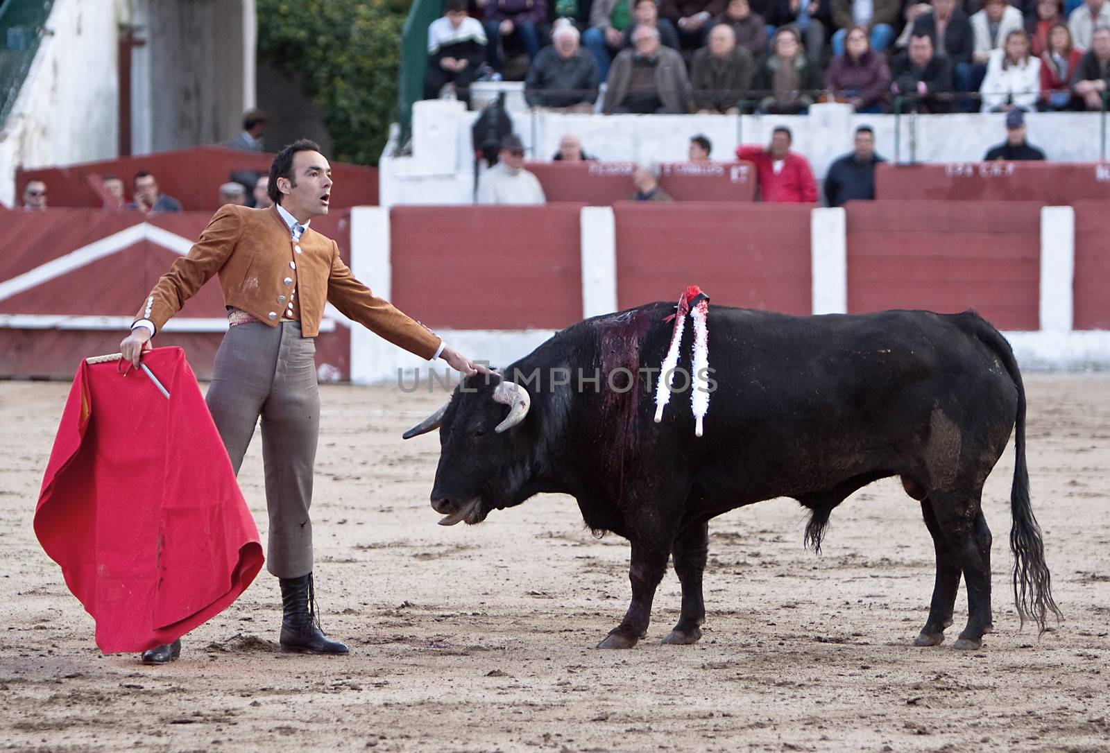The spanish bullfighter Manuel Jesus "El Cid" bullfighting in a bullfight in Linares, province of Jaen, Spain, Spain 14 march 2010