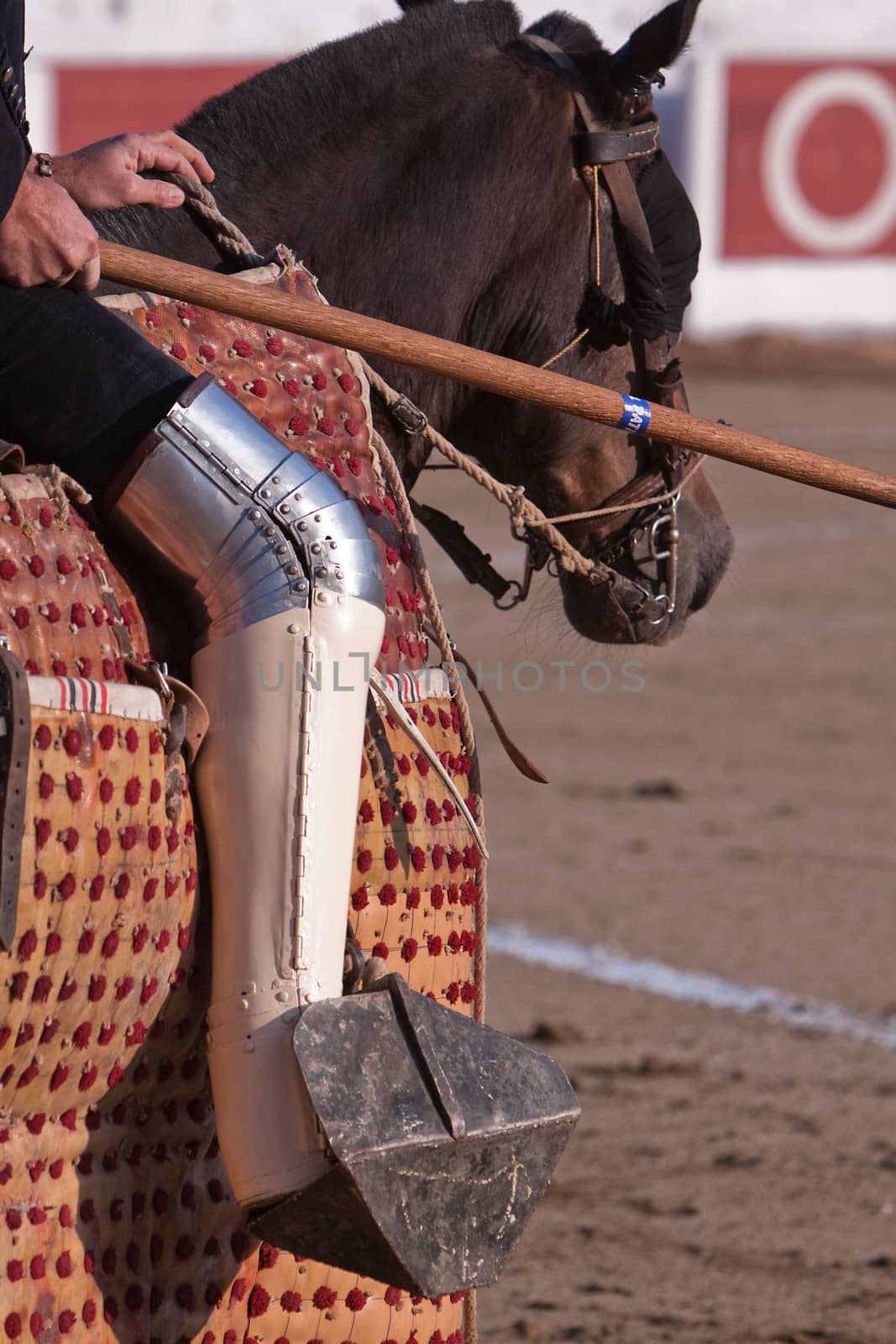 Picador bullfighter, lancer whose job it is to weaken bull's neck muscles, Spain