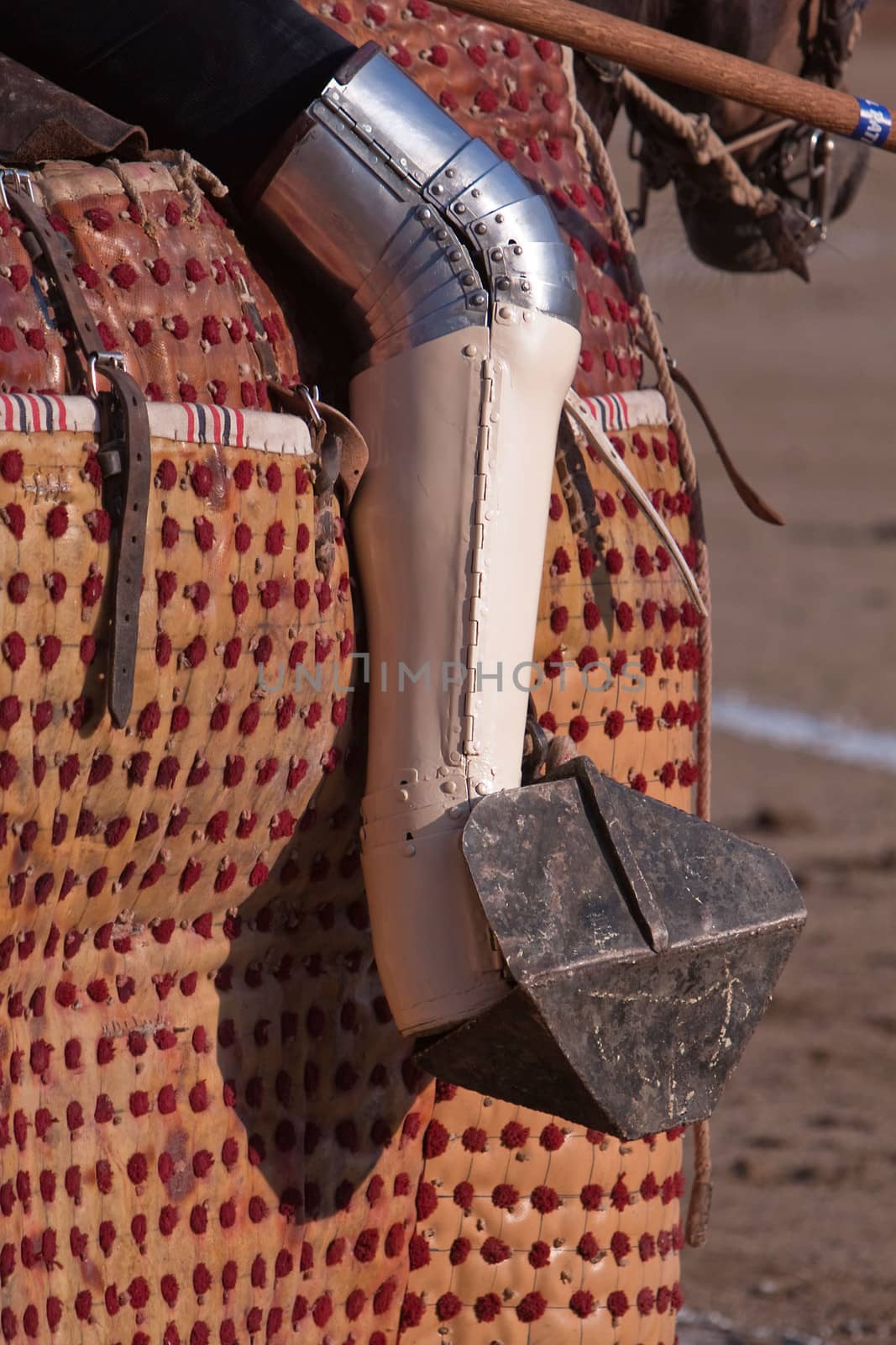 Picador bullfighter, lancer whose job it is to weaken bull's neck muscles, Spain